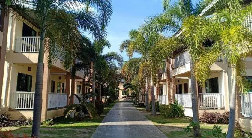 The Heart of Pai The Heart of Pai