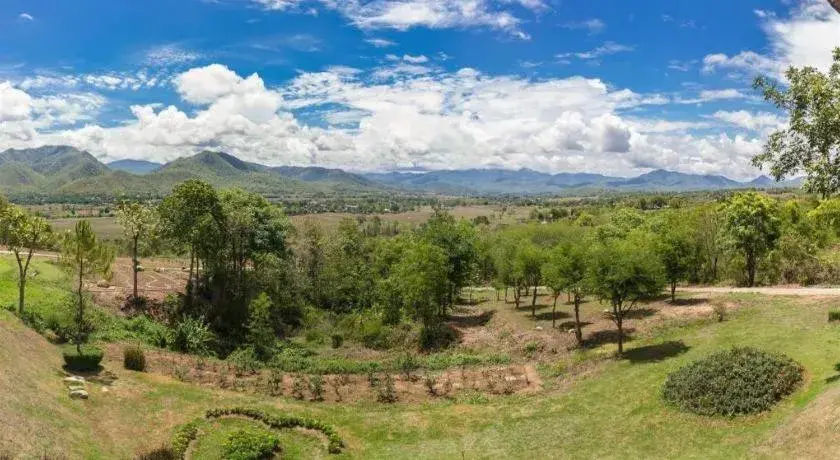 The Heart of Pai The Heart of Pai