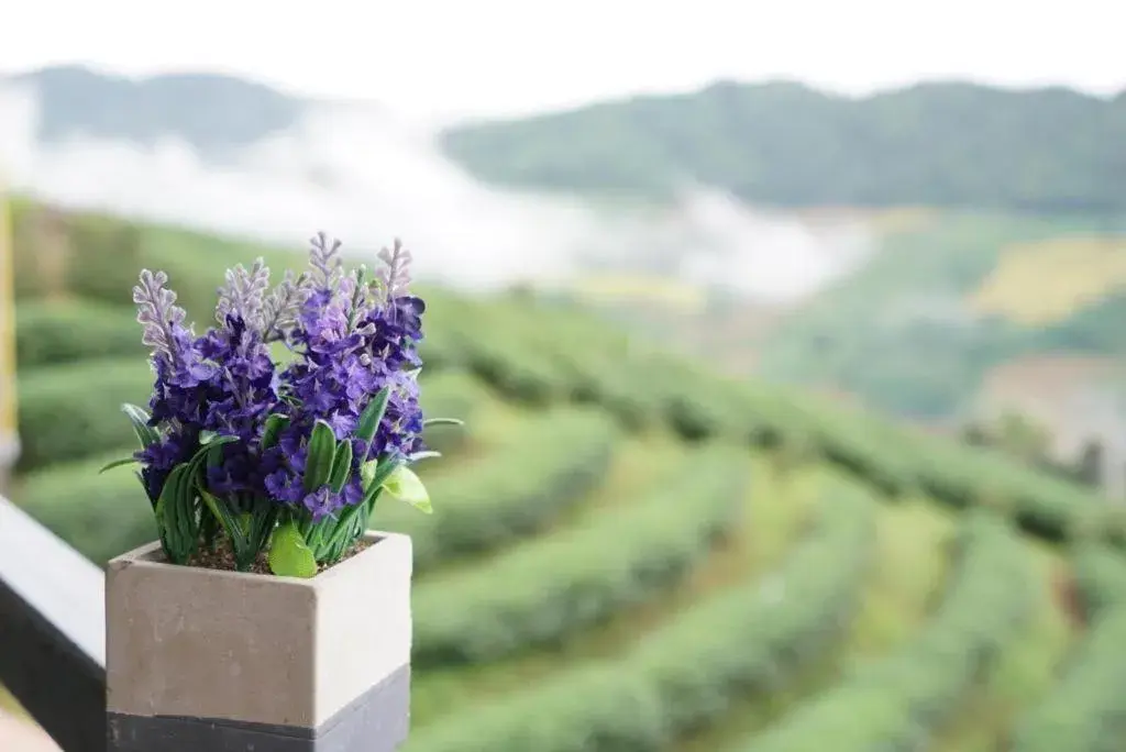 101 Tea Green View 101 Tea Green View