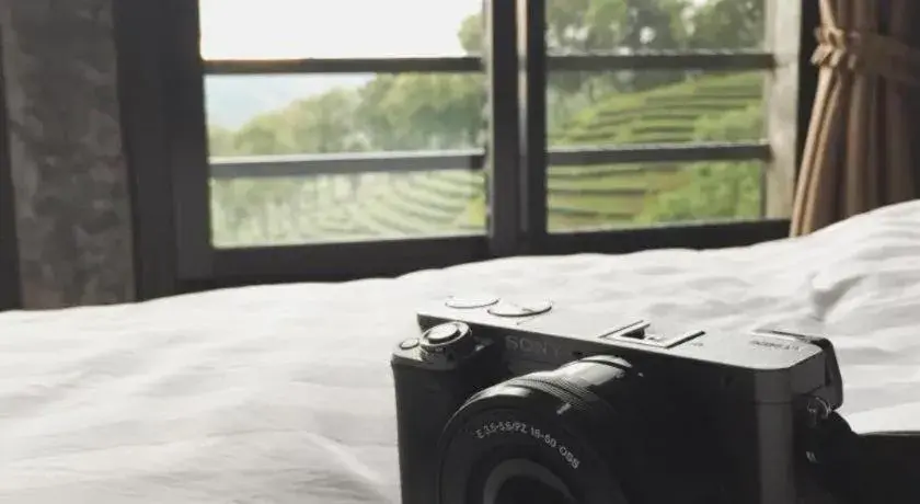 Bed in 101 Tea Green View Bed in 101 Tea Green View