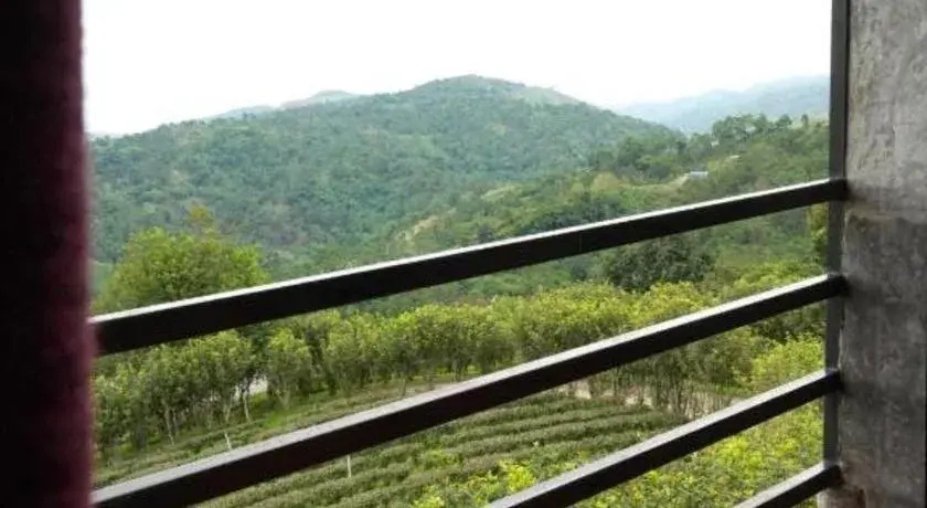 101 Tea Green View 101 Tea Green View