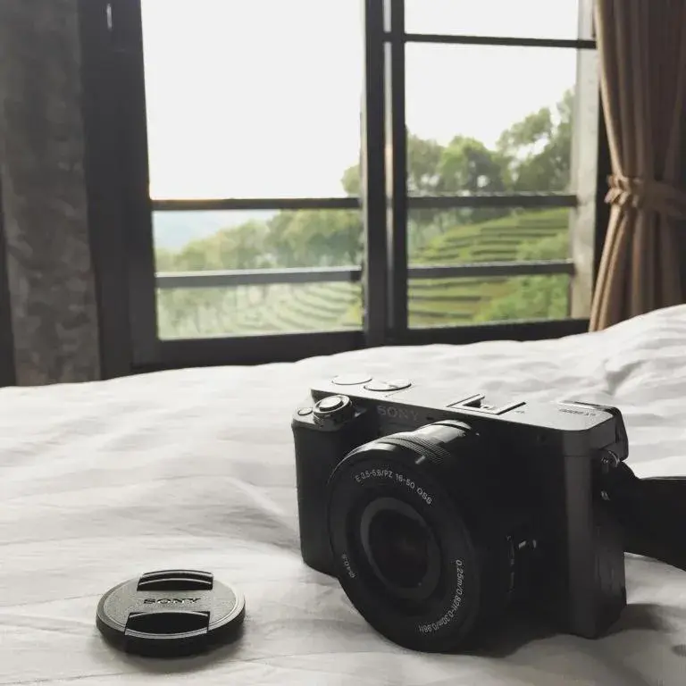 101 Tea Green View 101 Tea Green View