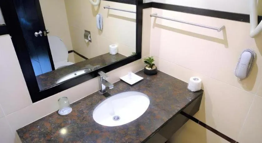 Mallberry Suites Business Hotel