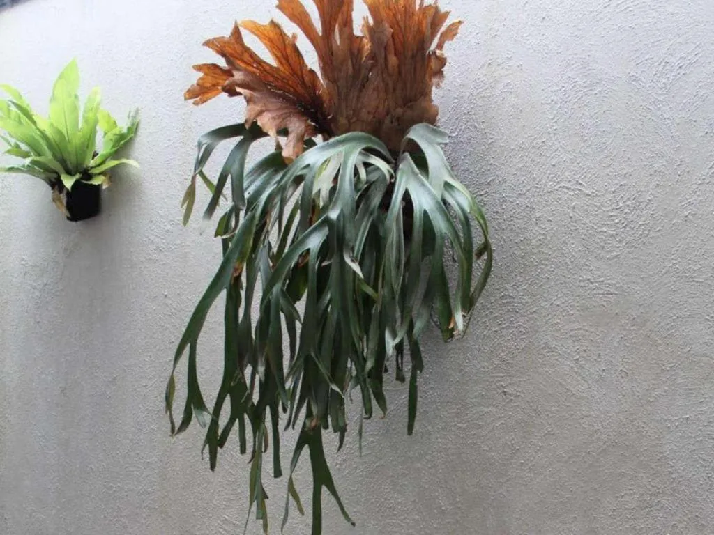 Casa Living Setiabudi Jakarta