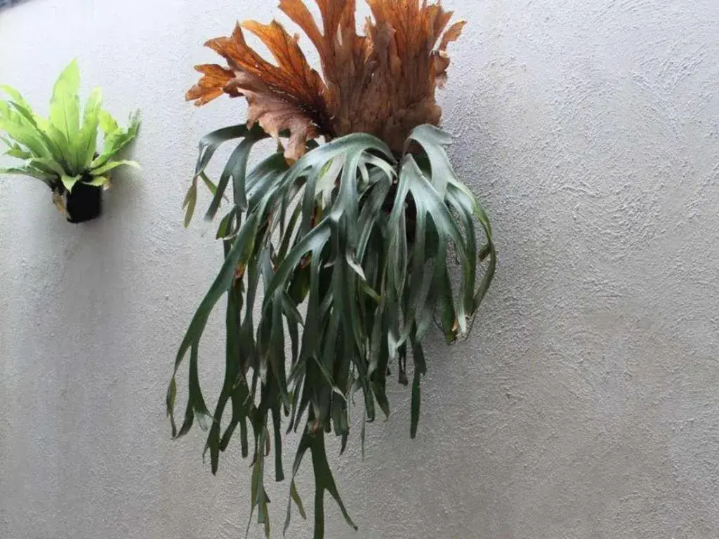 Casa Living Setiabudi Jakarta Casa Living Setiabudi Jakarta