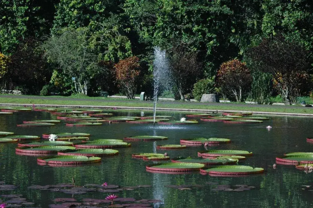 Bianco Costel Bianco Costel