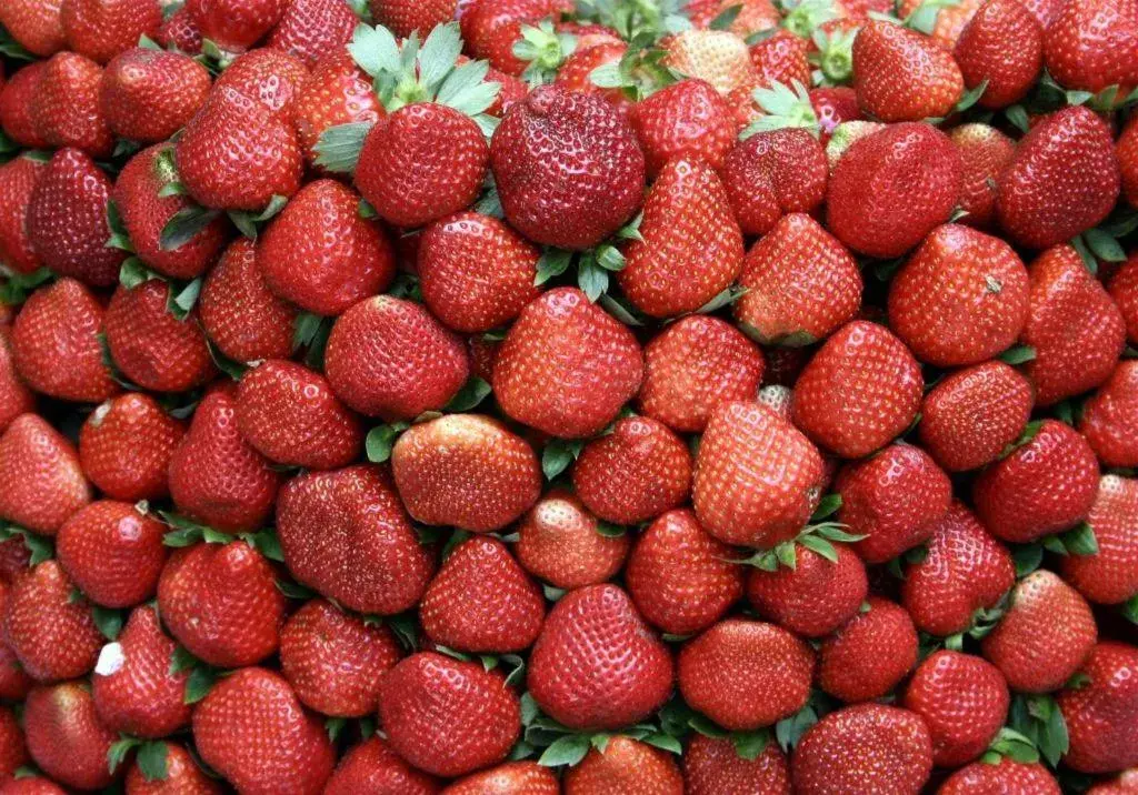 Travelite Express Hotel Travelite Express Hotel