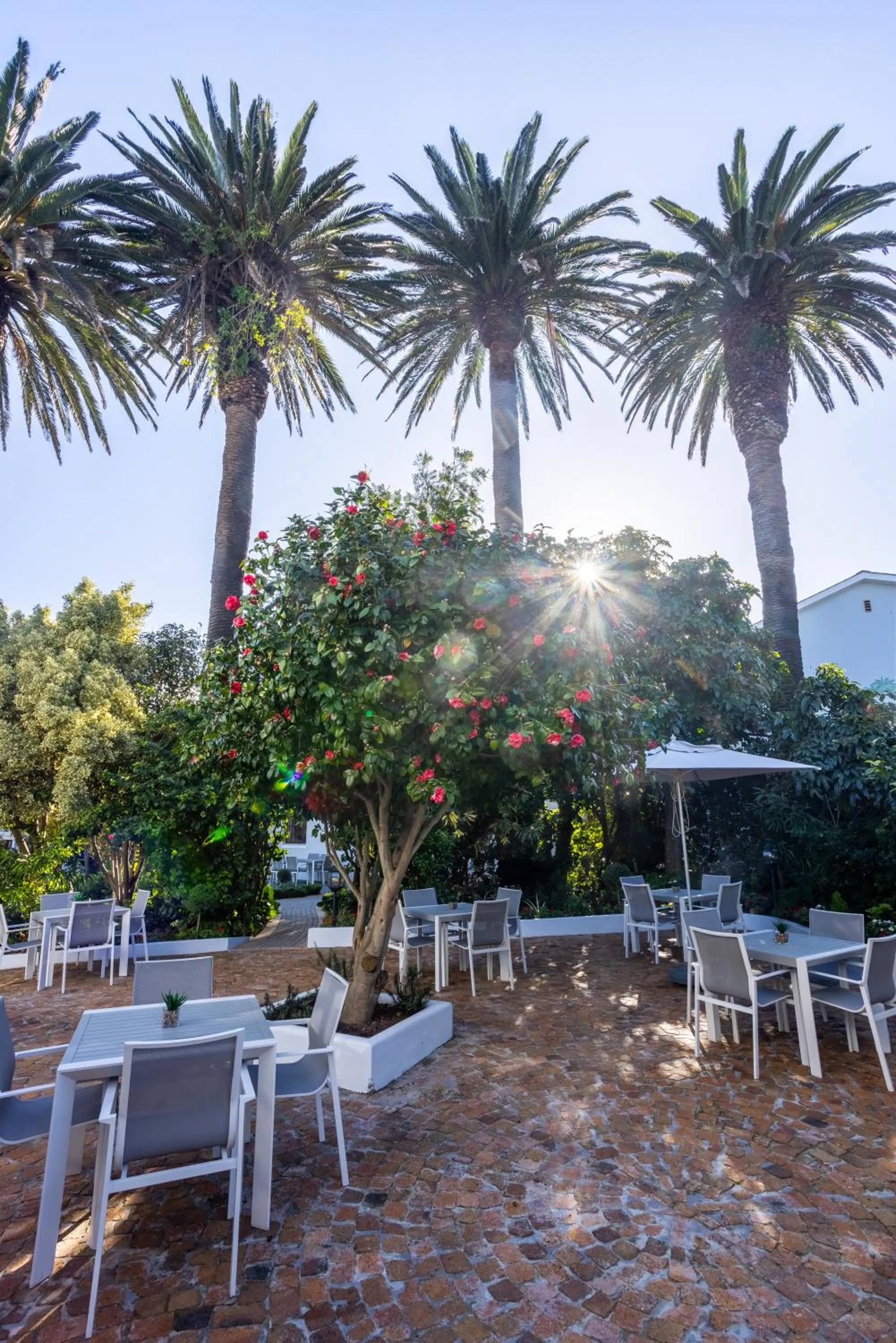 Restaurant/places to eat in Palm House Boutique Hotel and Spa