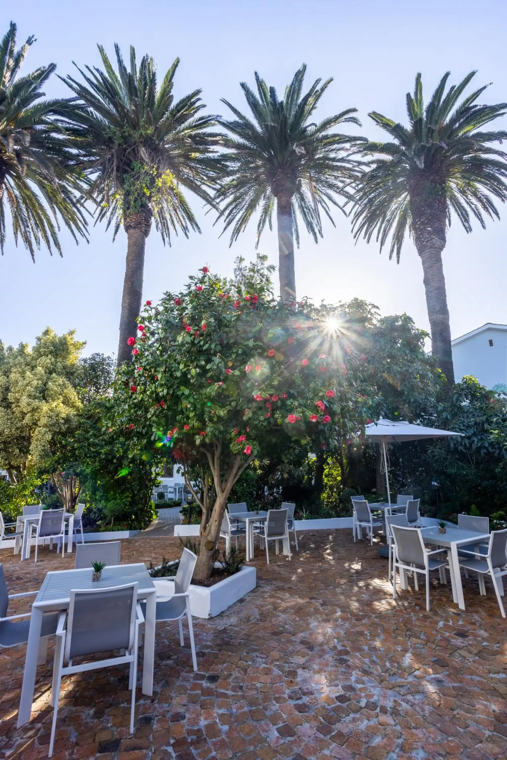 Restaurant/places to eat in Palm House Boutique Hotel and Spa Restaurant/places to eat in Palm House Boutique Hotel and Spa