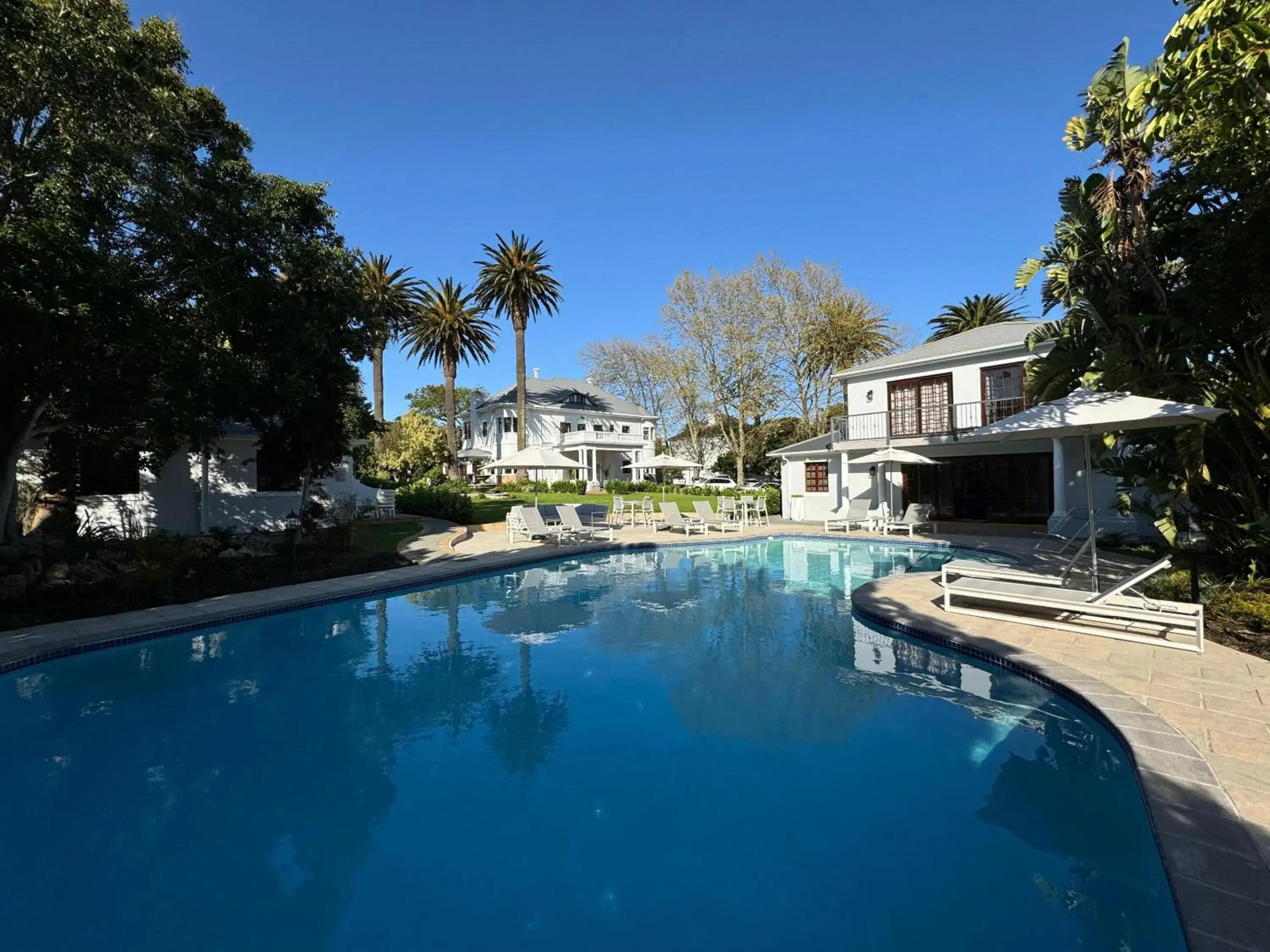 Swimming pool in Palm House Boutique Hotel and Spa Swimming pool in Palm House Boutique Hotel and Spa