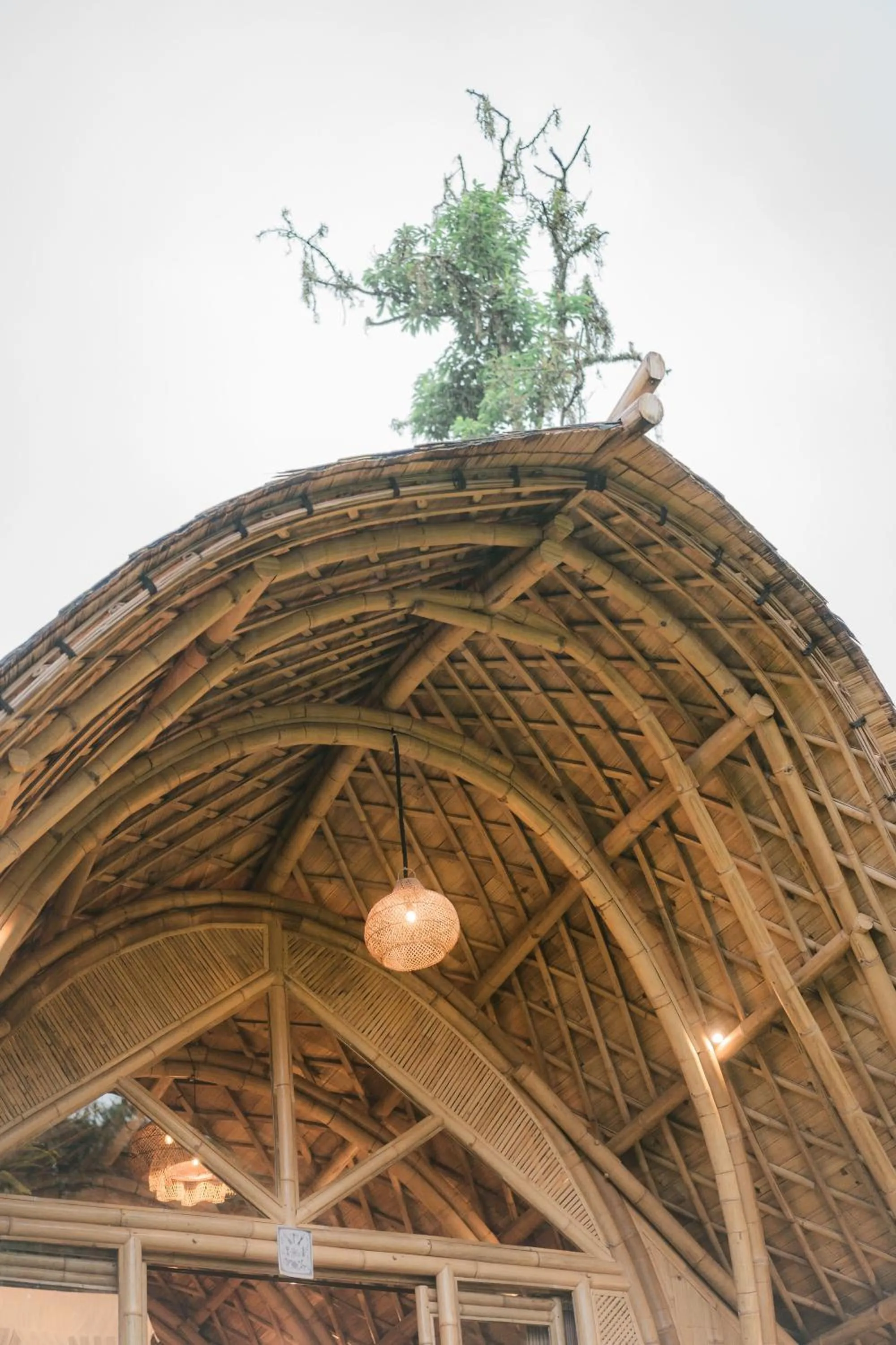 Day in Arcada Bali Bamboo House