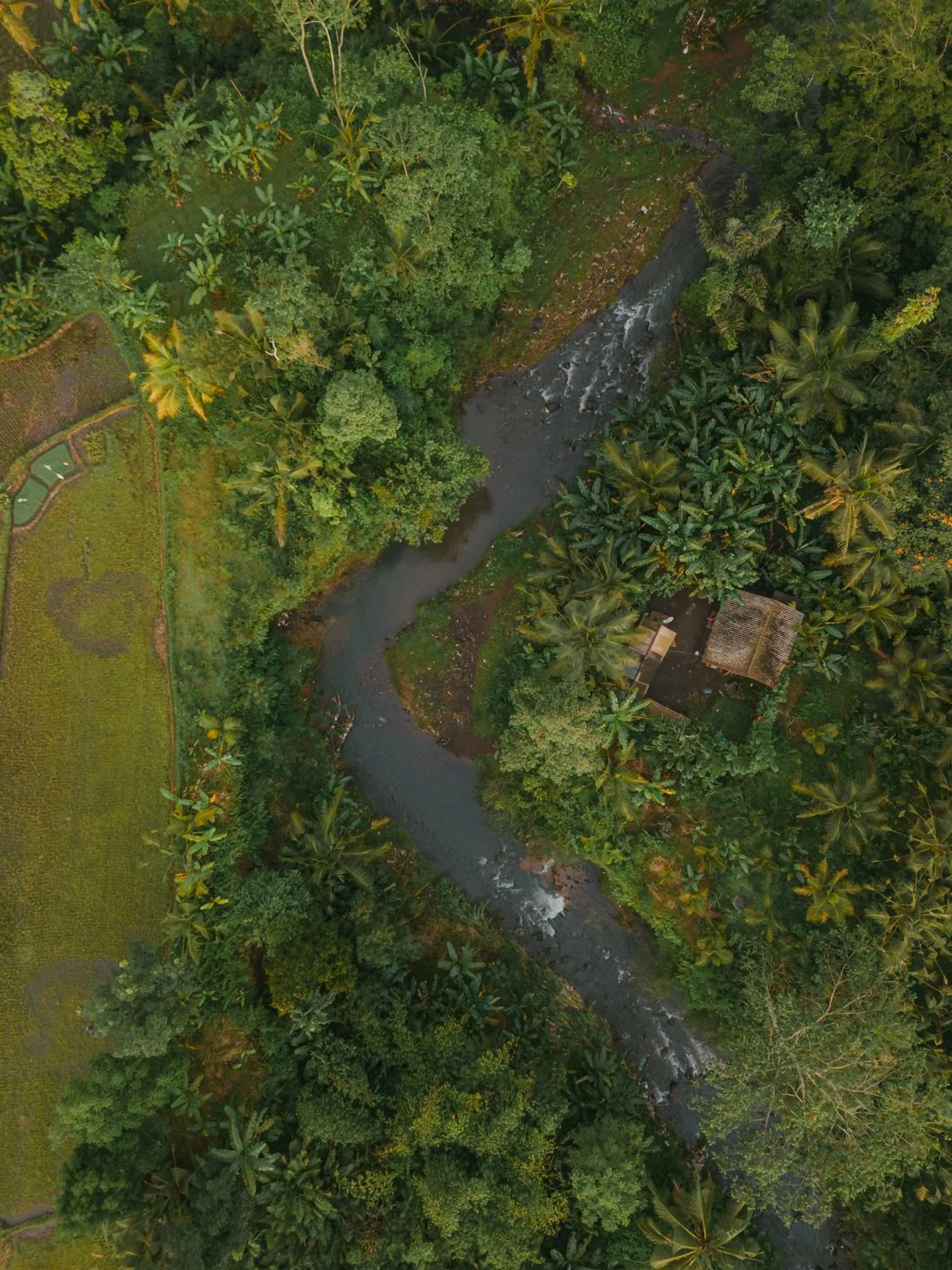 Spring in Arcada Bali Bamboo House