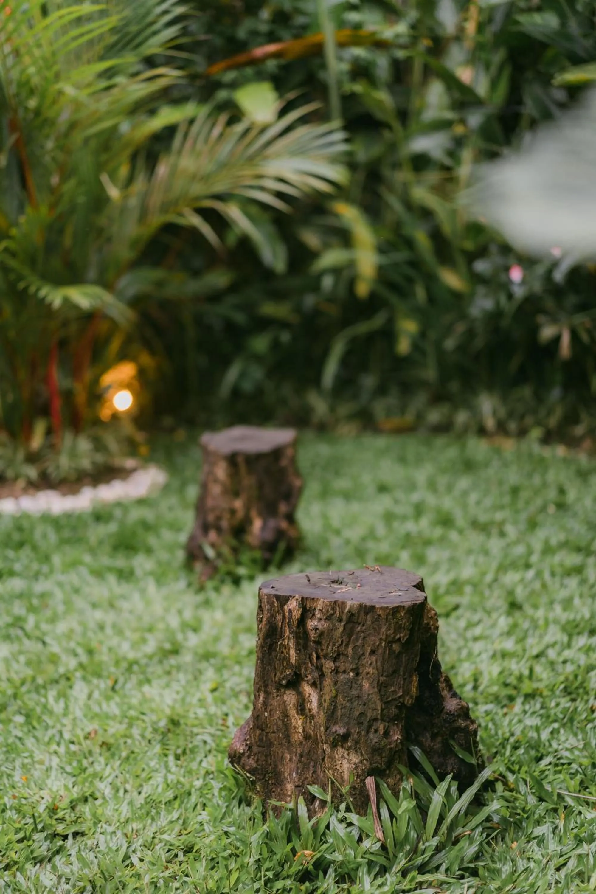 Spring in Arcada Bali Bamboo House