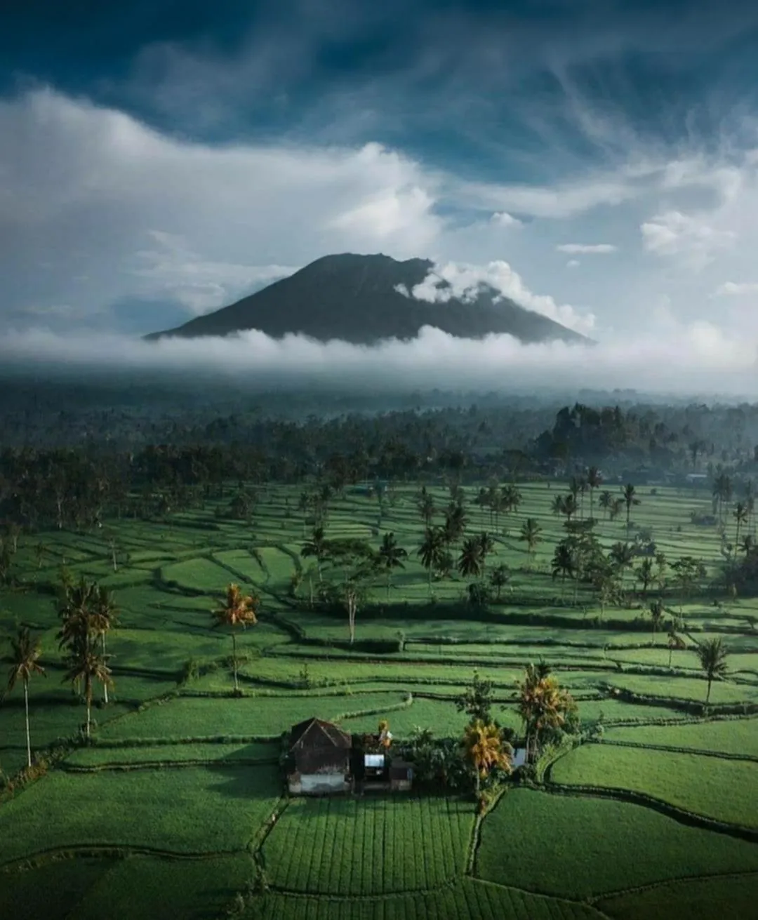 Nearby landmark in Arcada Bali Bamboo House