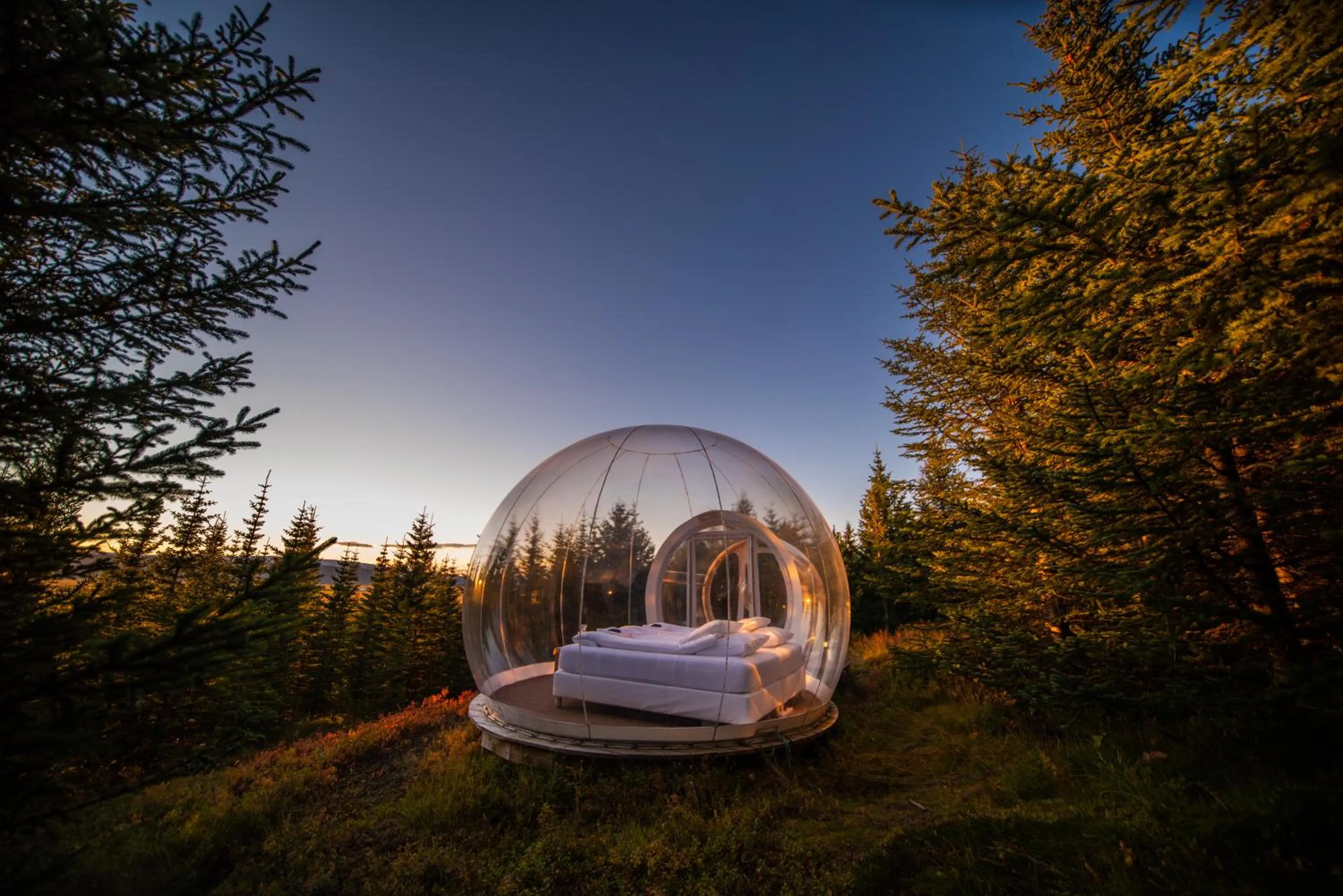 Natural landscape in Buubble Hotel - Ölvisholt