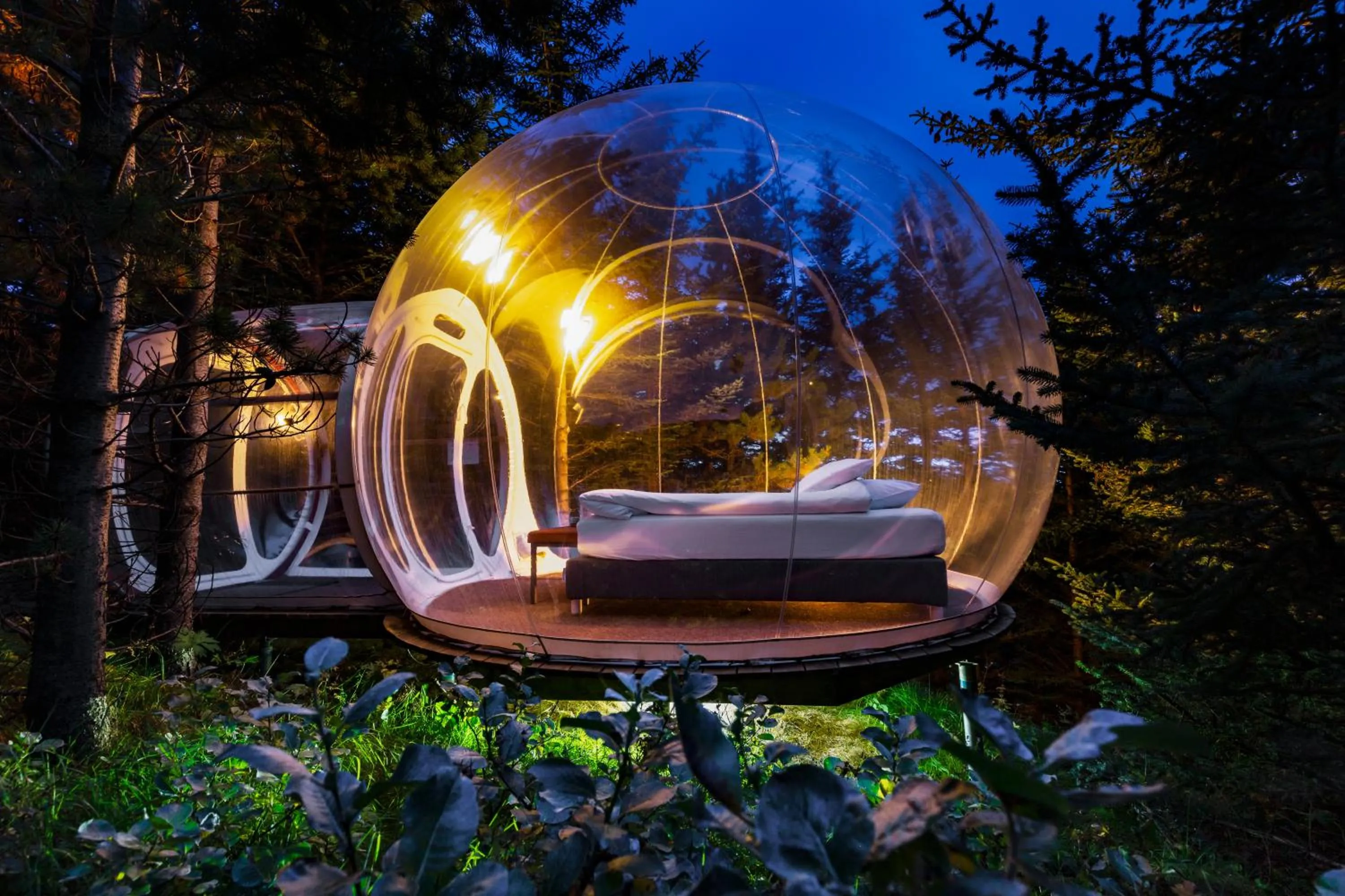 Natural landscape in Buubble Hotel - Ölvisholt