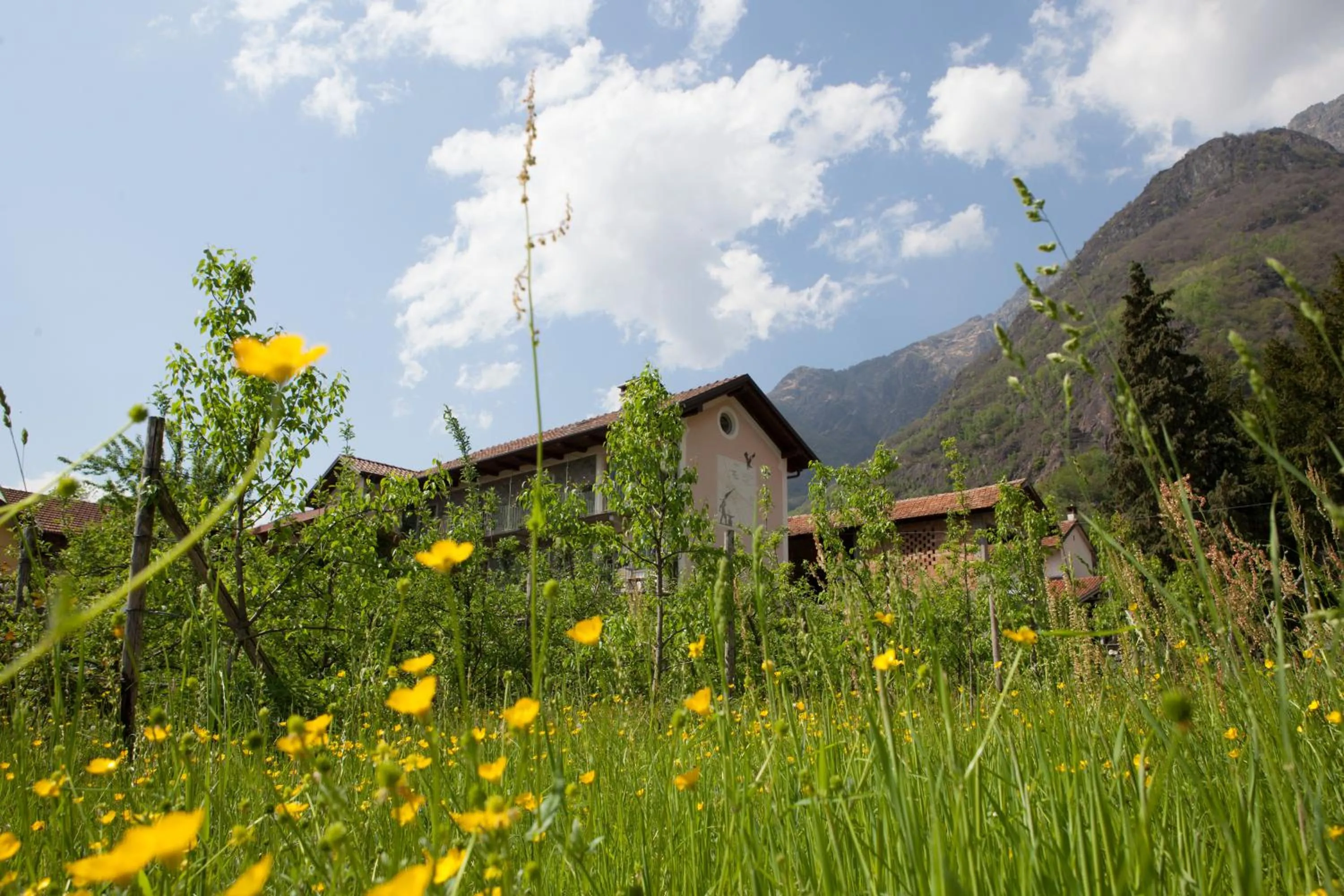 B&B I Corni di Nibbio