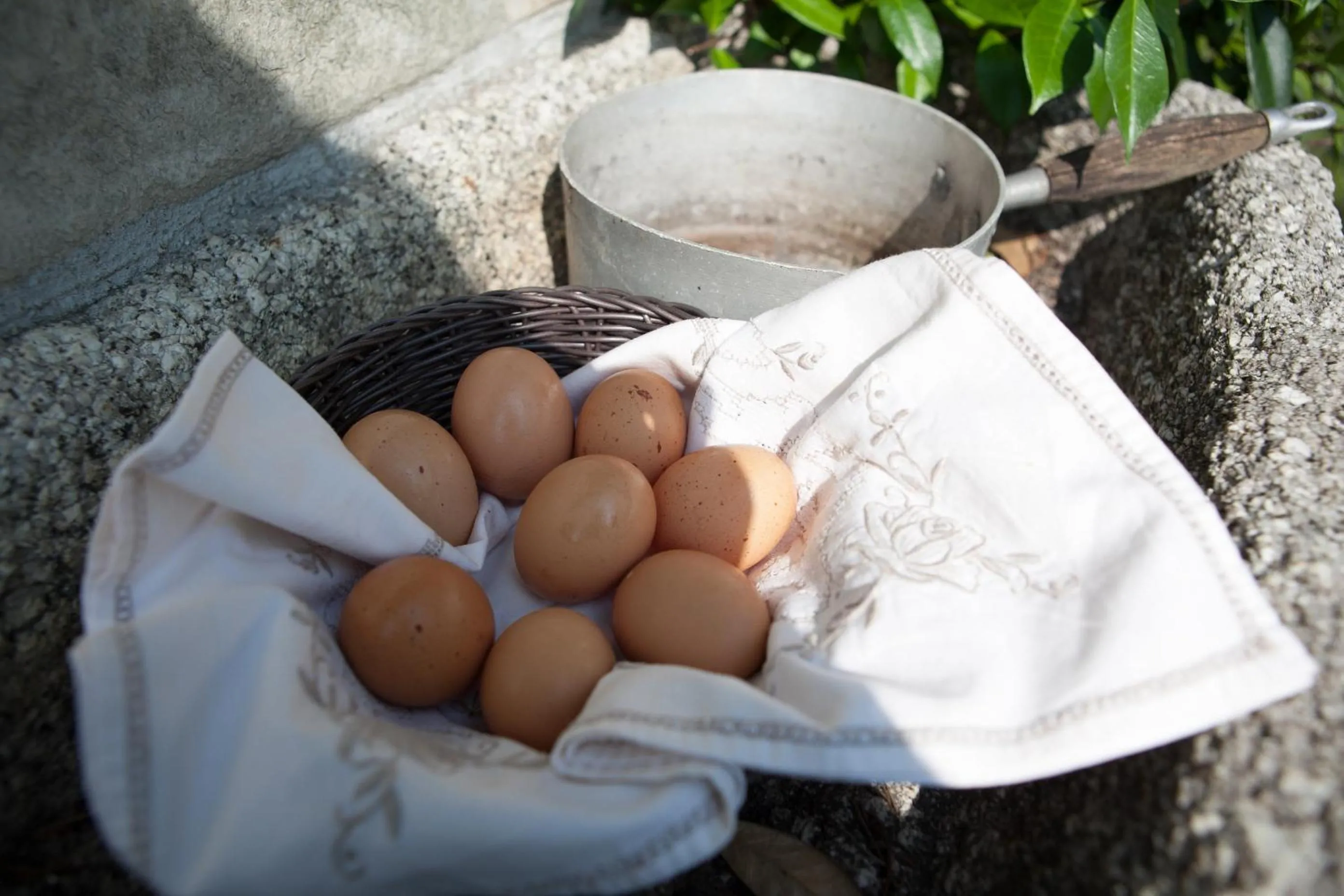 B&B I Corni di Nibbio