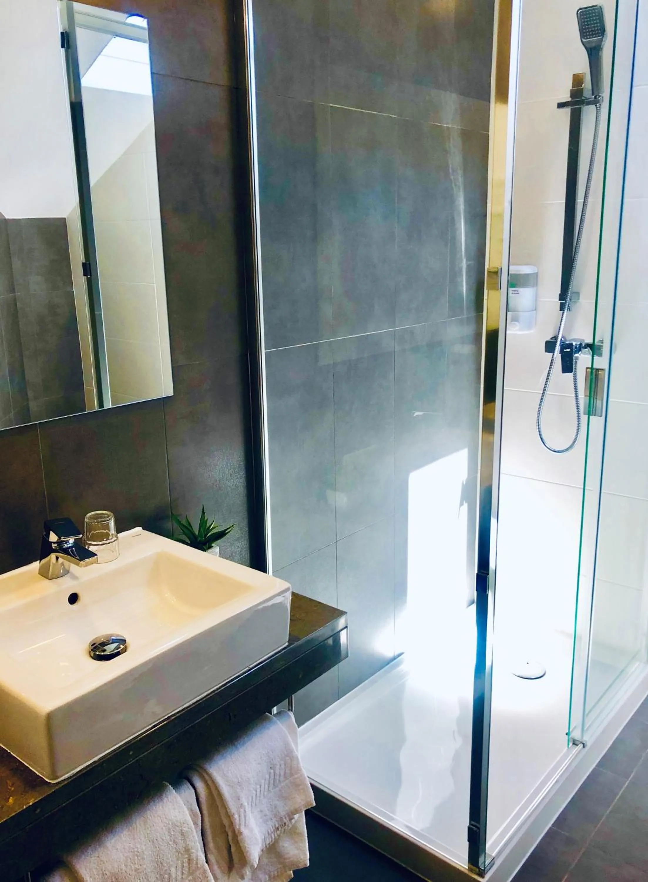 Shower in Hotel Botanico de Coimbra