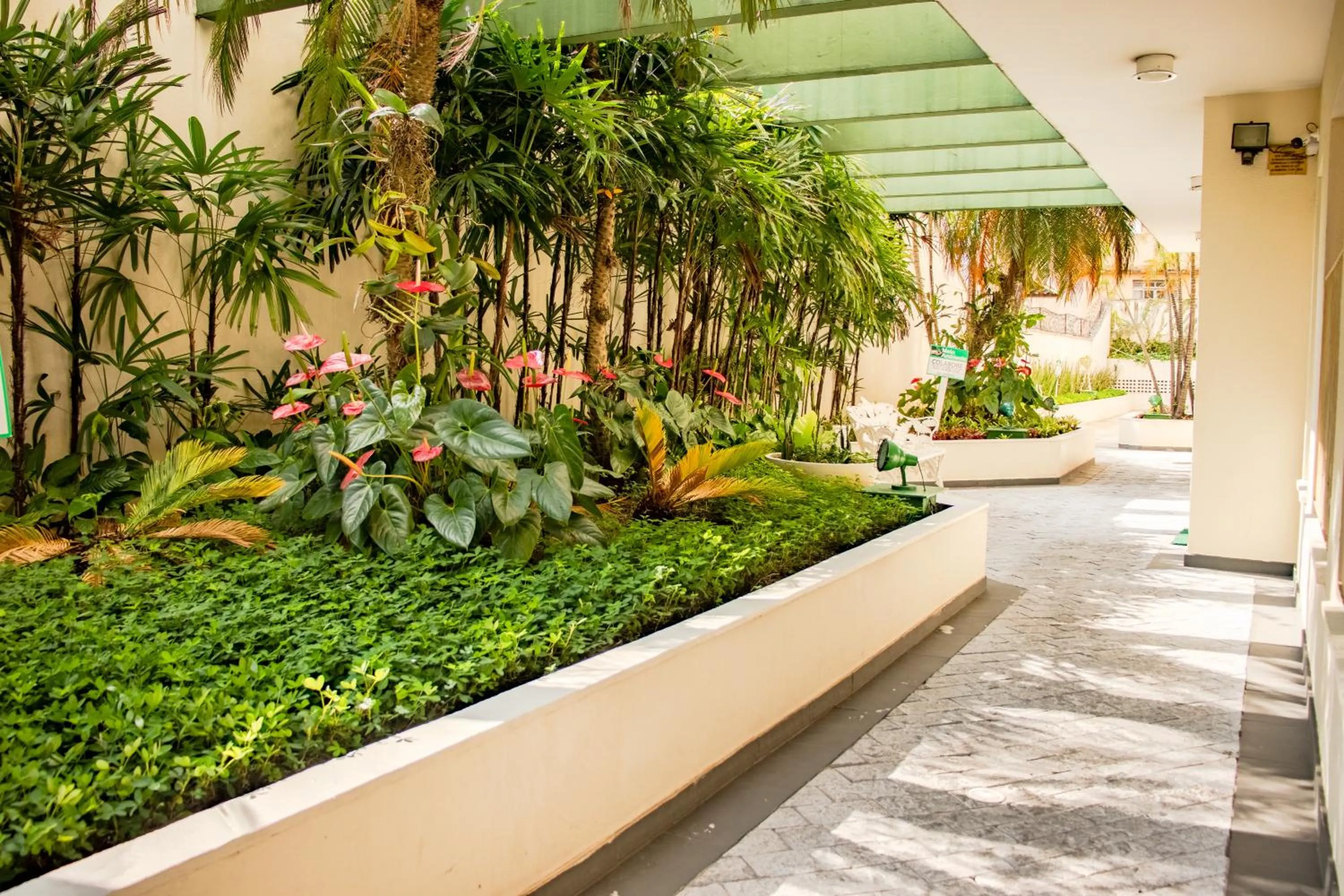 Garden in Residencial Genéve