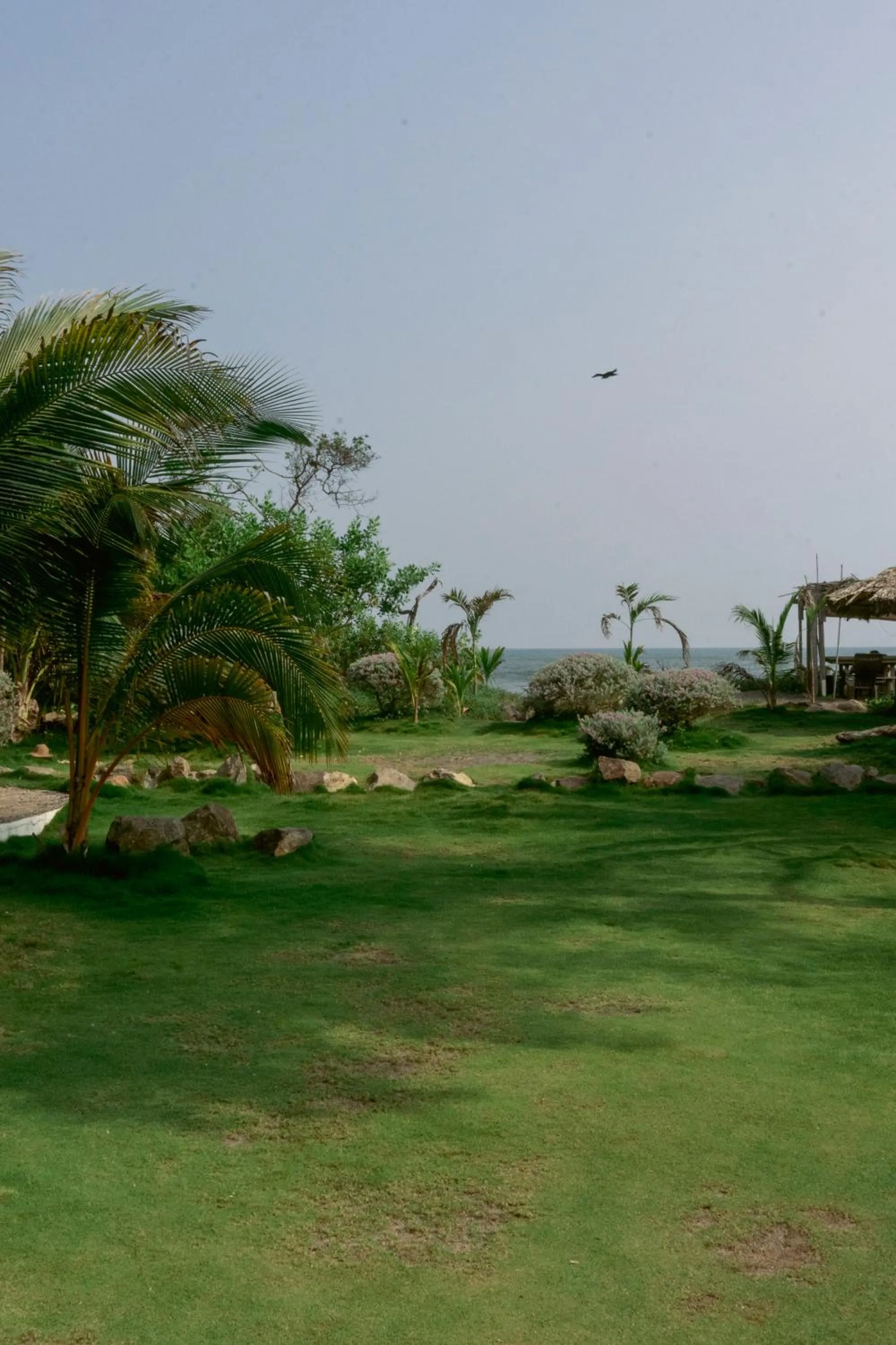 Garden view in NAIA - Miravalle