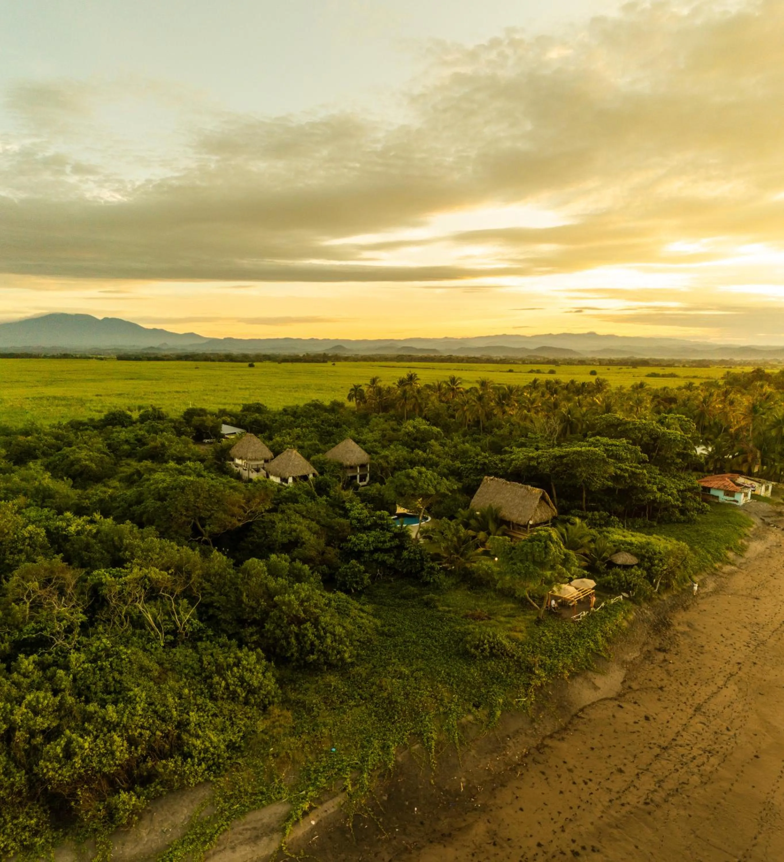 Natural landscape in NAIA - Miravalle