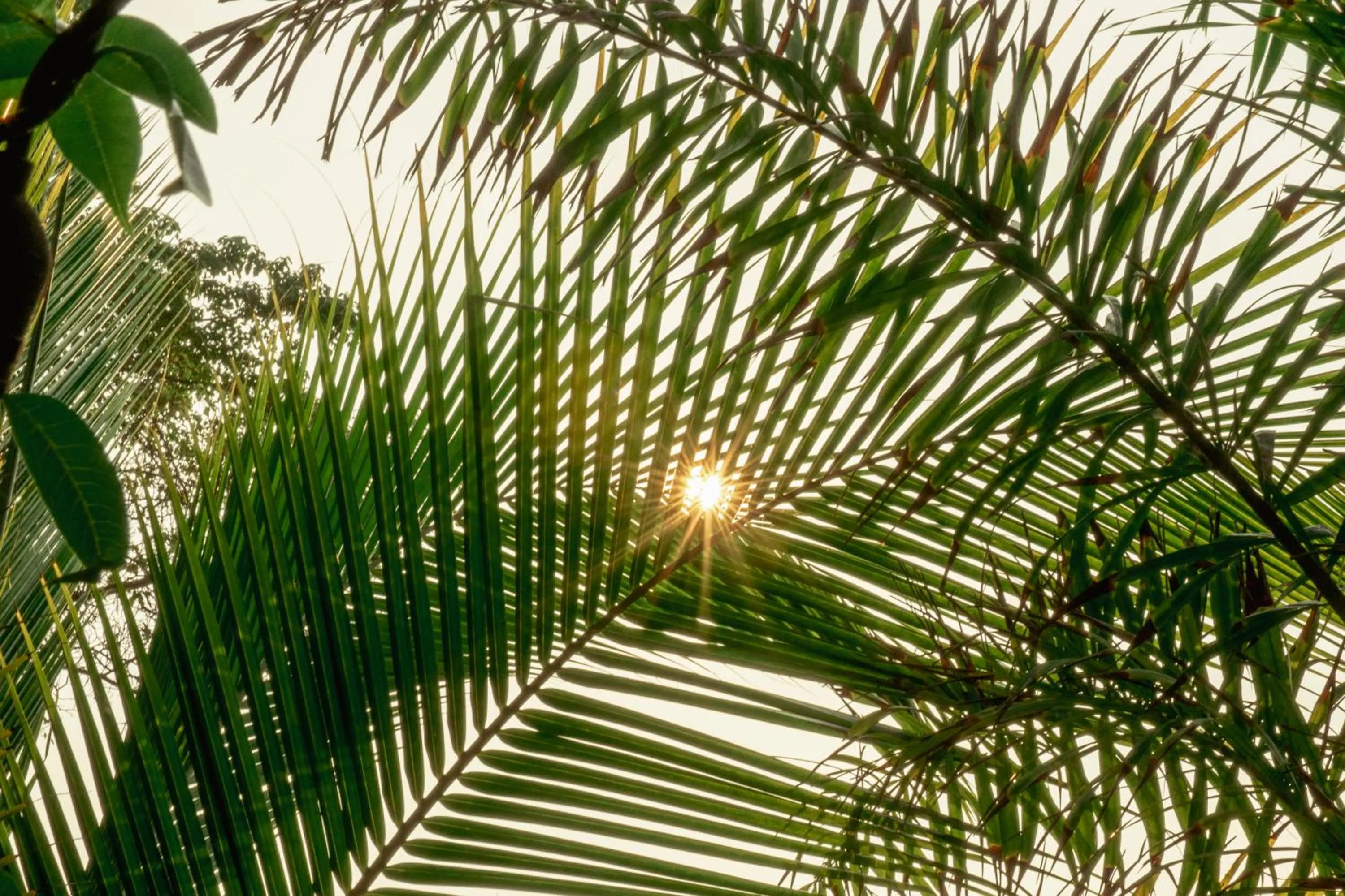 Natural landscape in NAIA - Miravalle