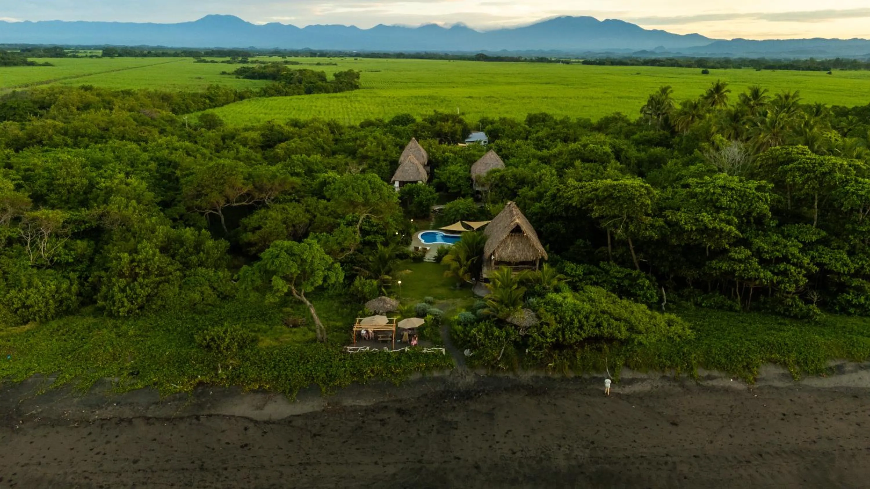 Natural landscape in NAIA - Miravalle
