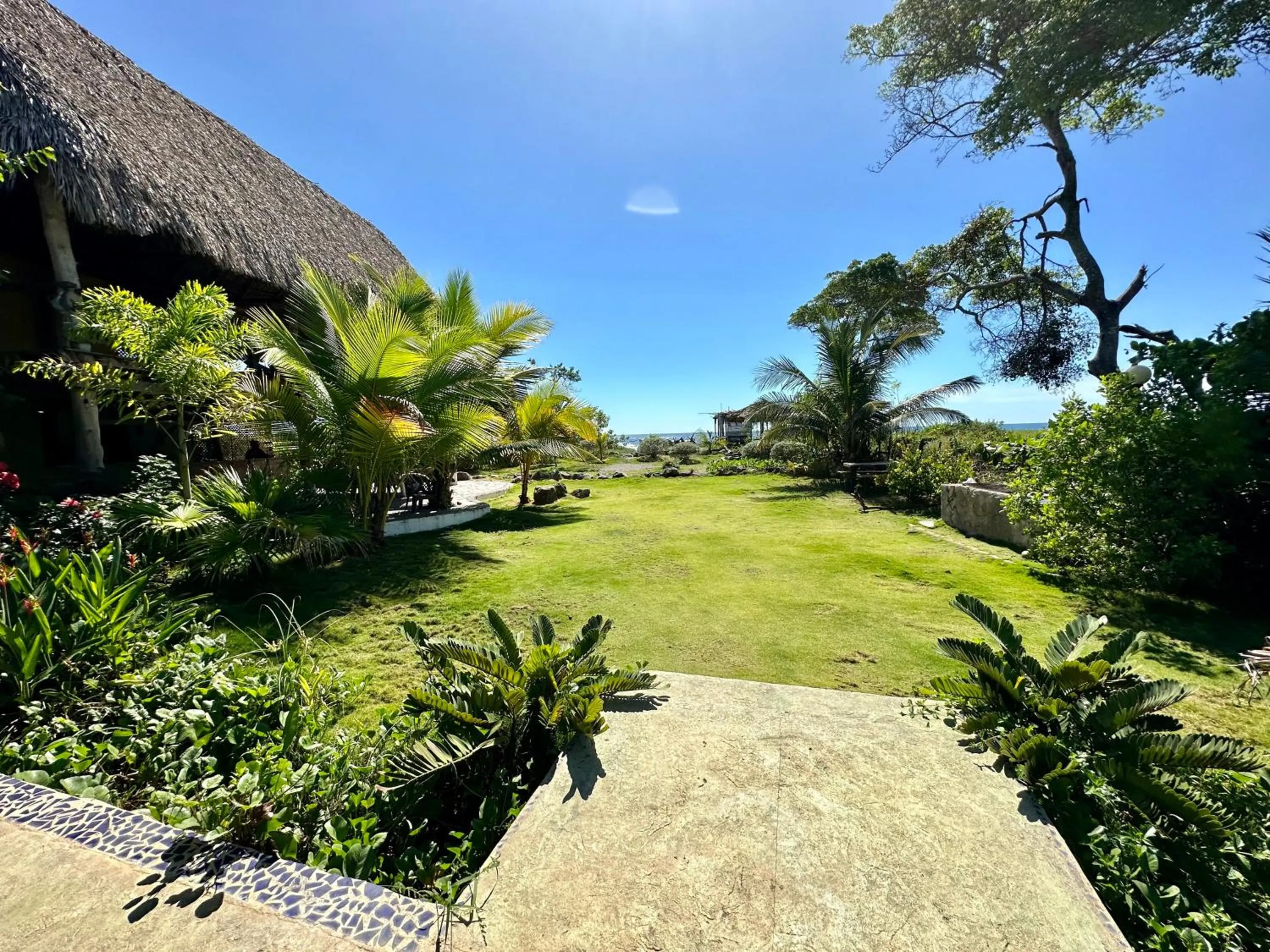Garden view in NAIA - Miravalle