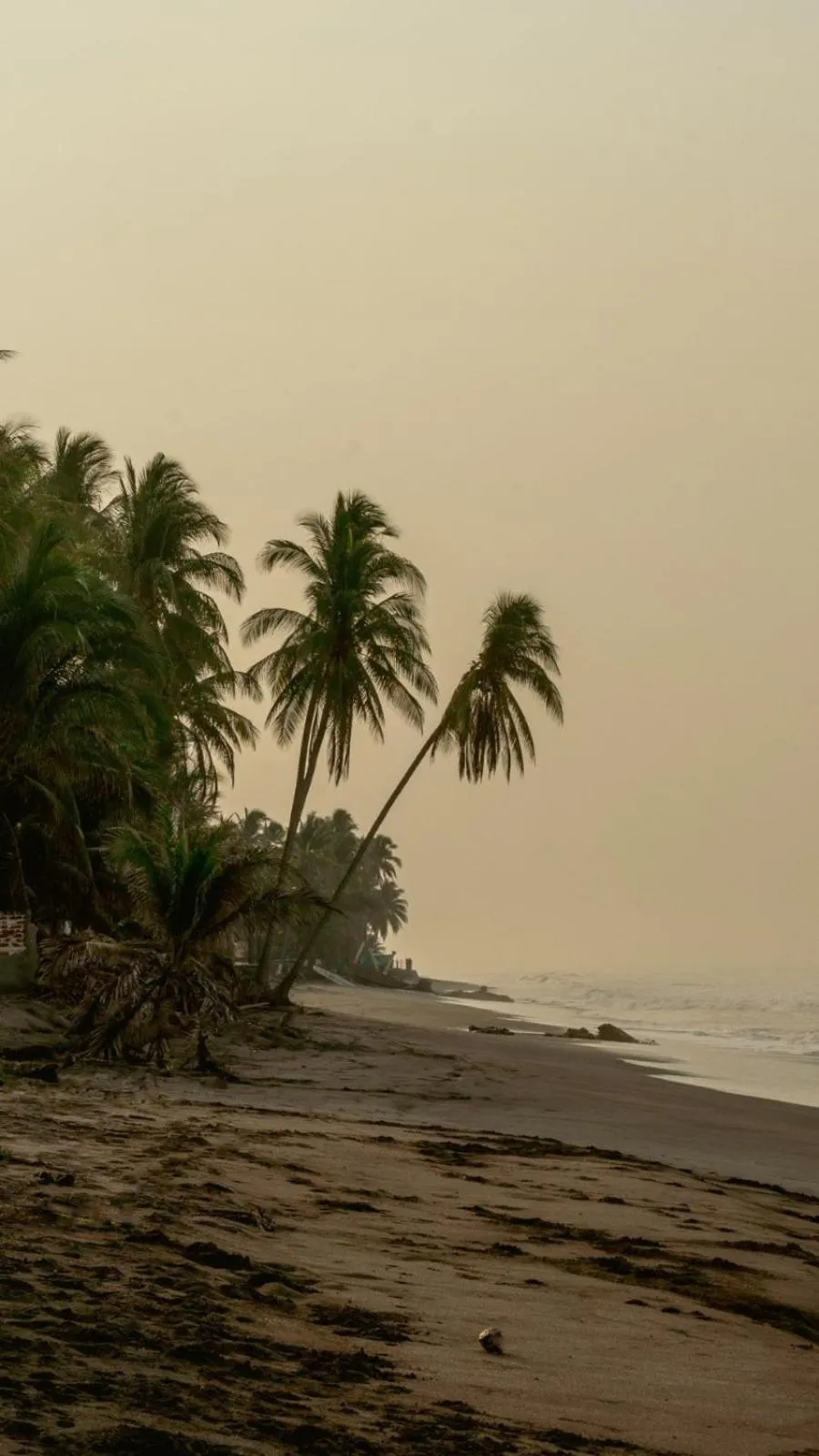 Beach in NAIA - Miravalle