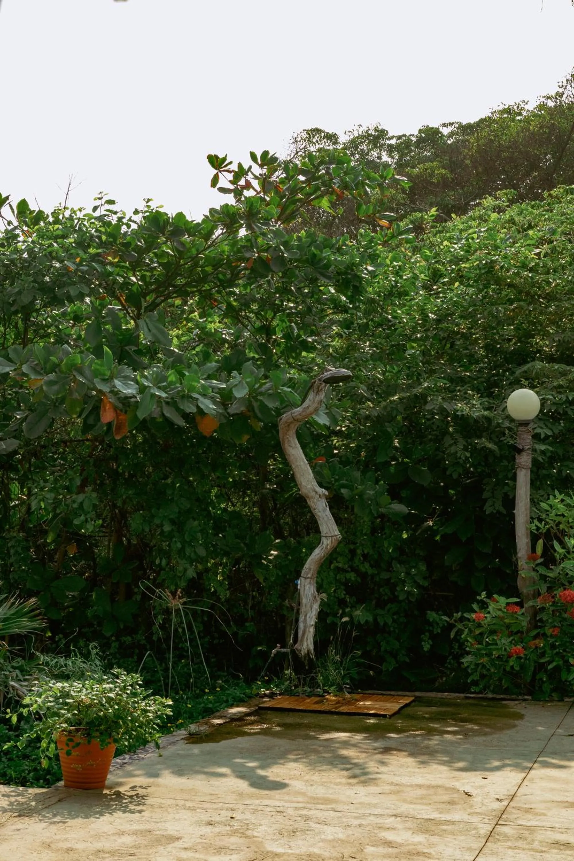 Garden view in NAIA - Miravalle