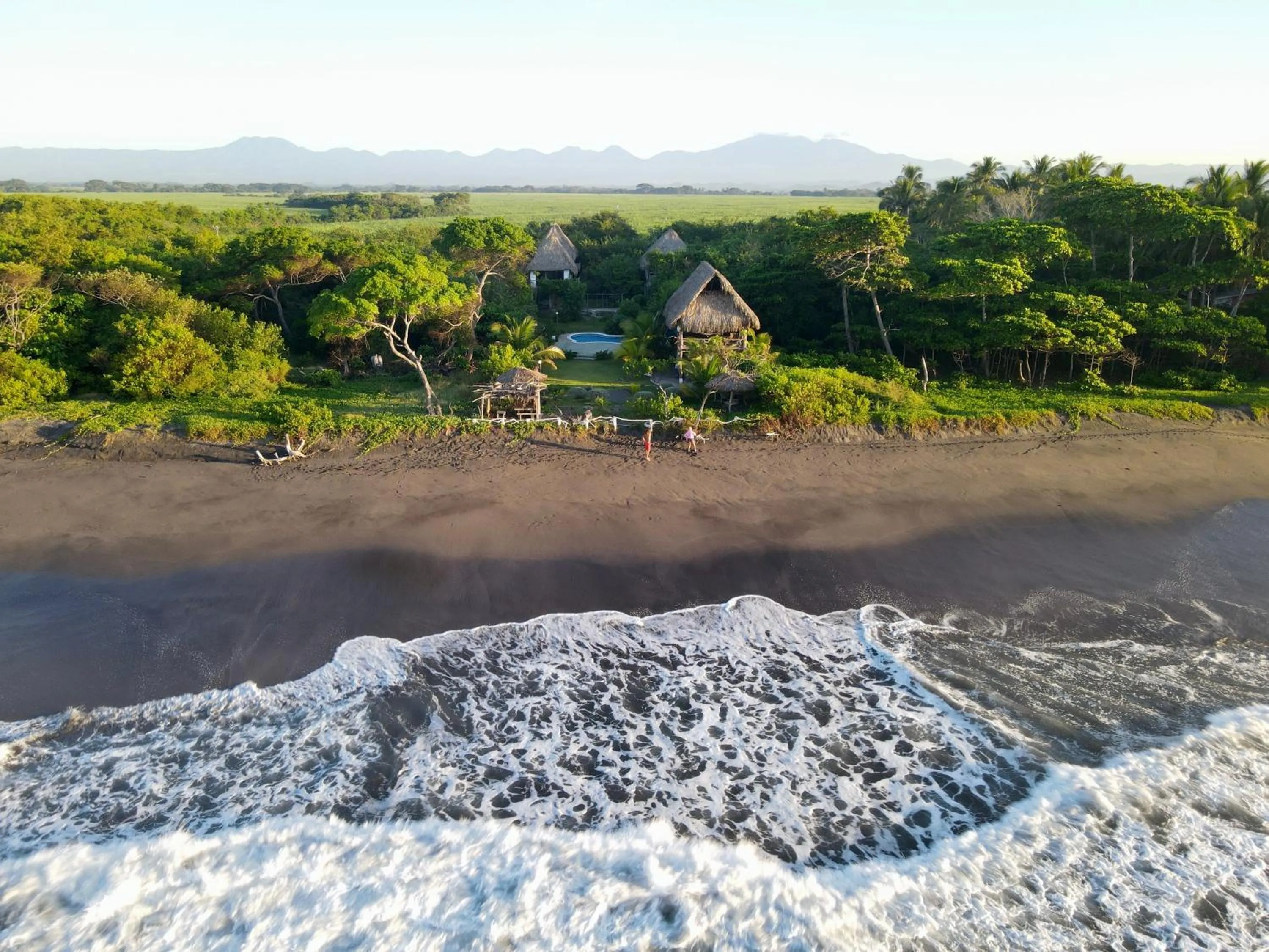Natural landscape in NAIA - Miravalle