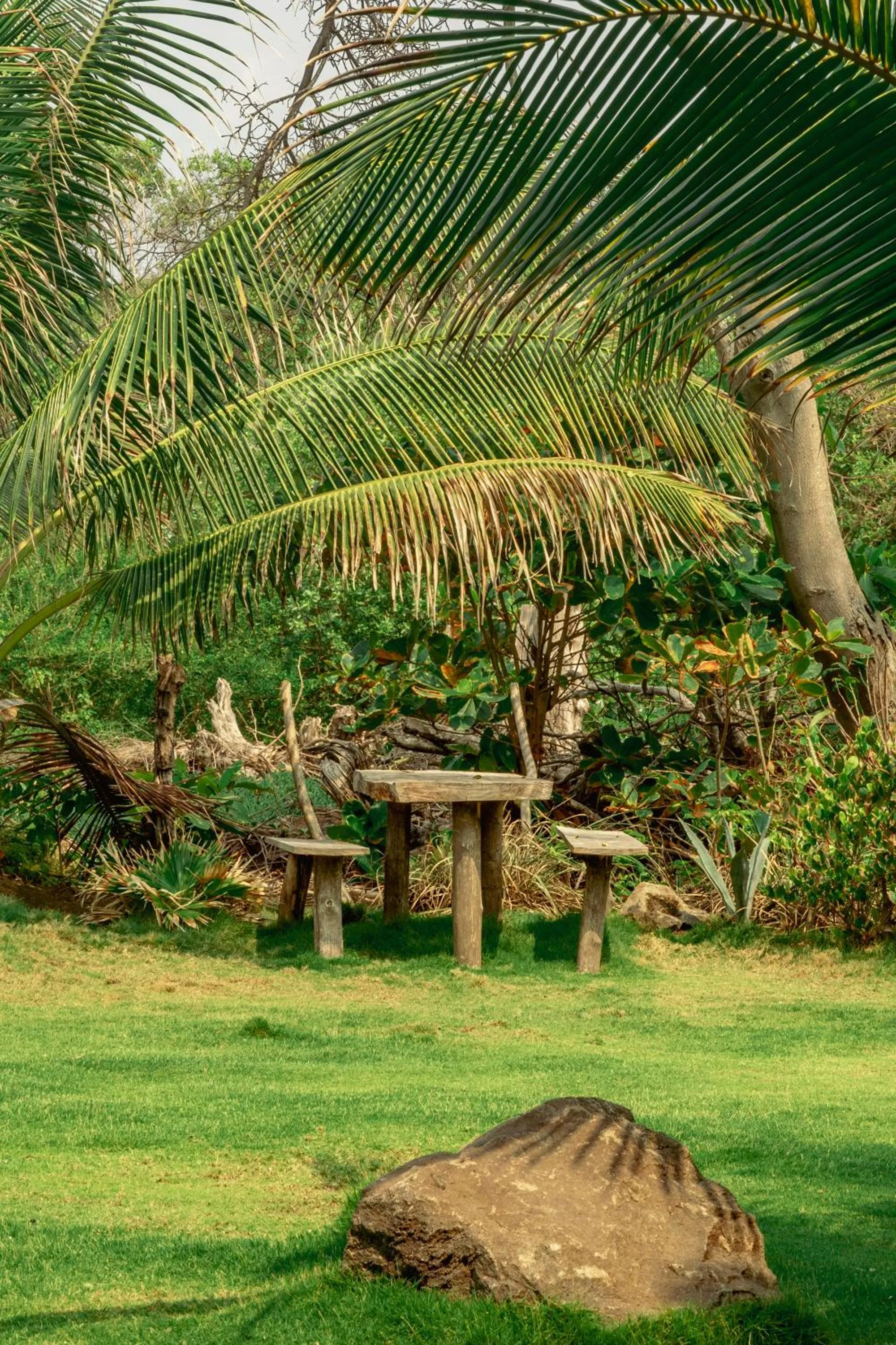 Garden view in NAIA - Miravalle