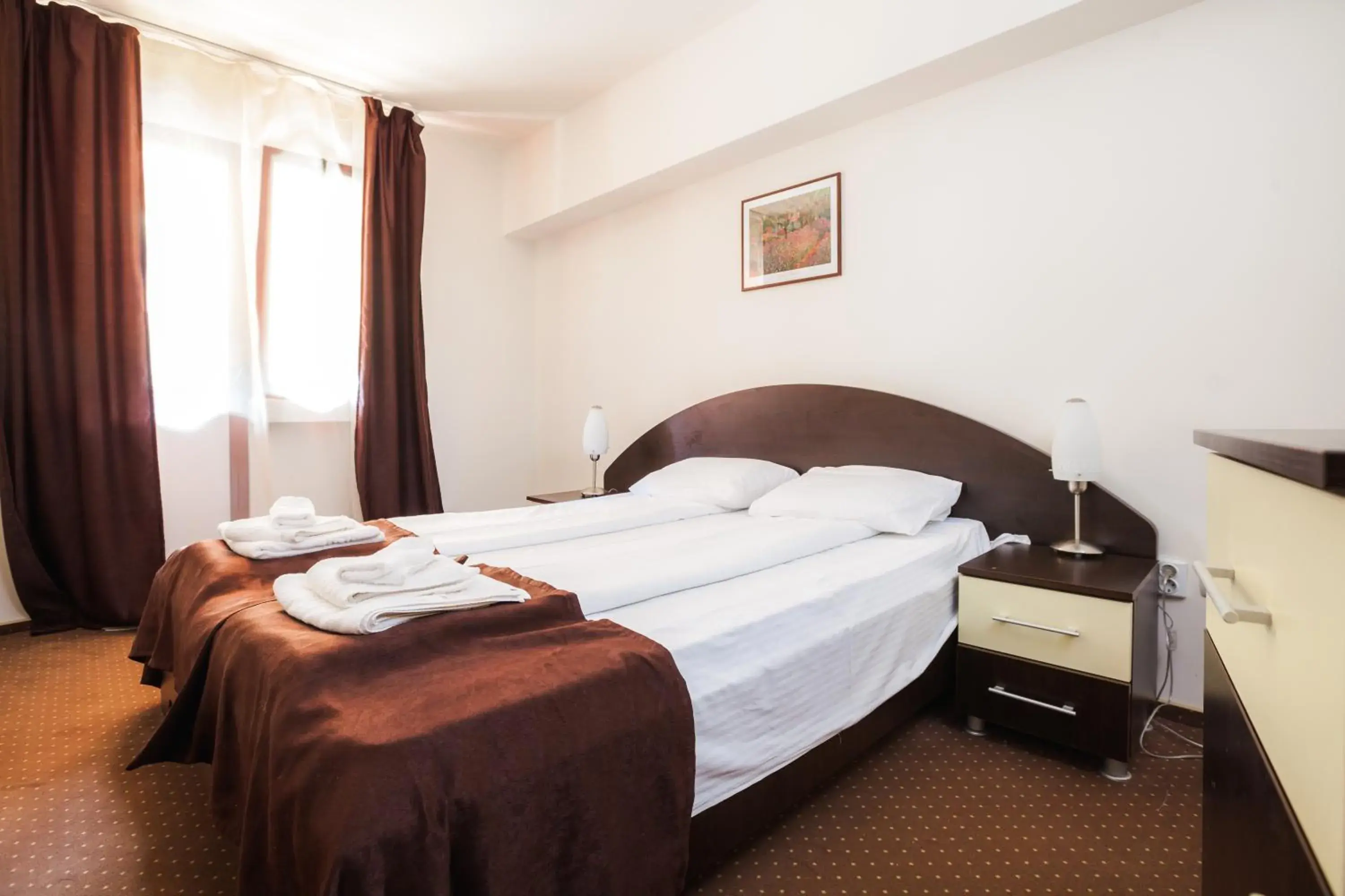 Double Room in Hotel Domogled Double Room in Hotel Domogled