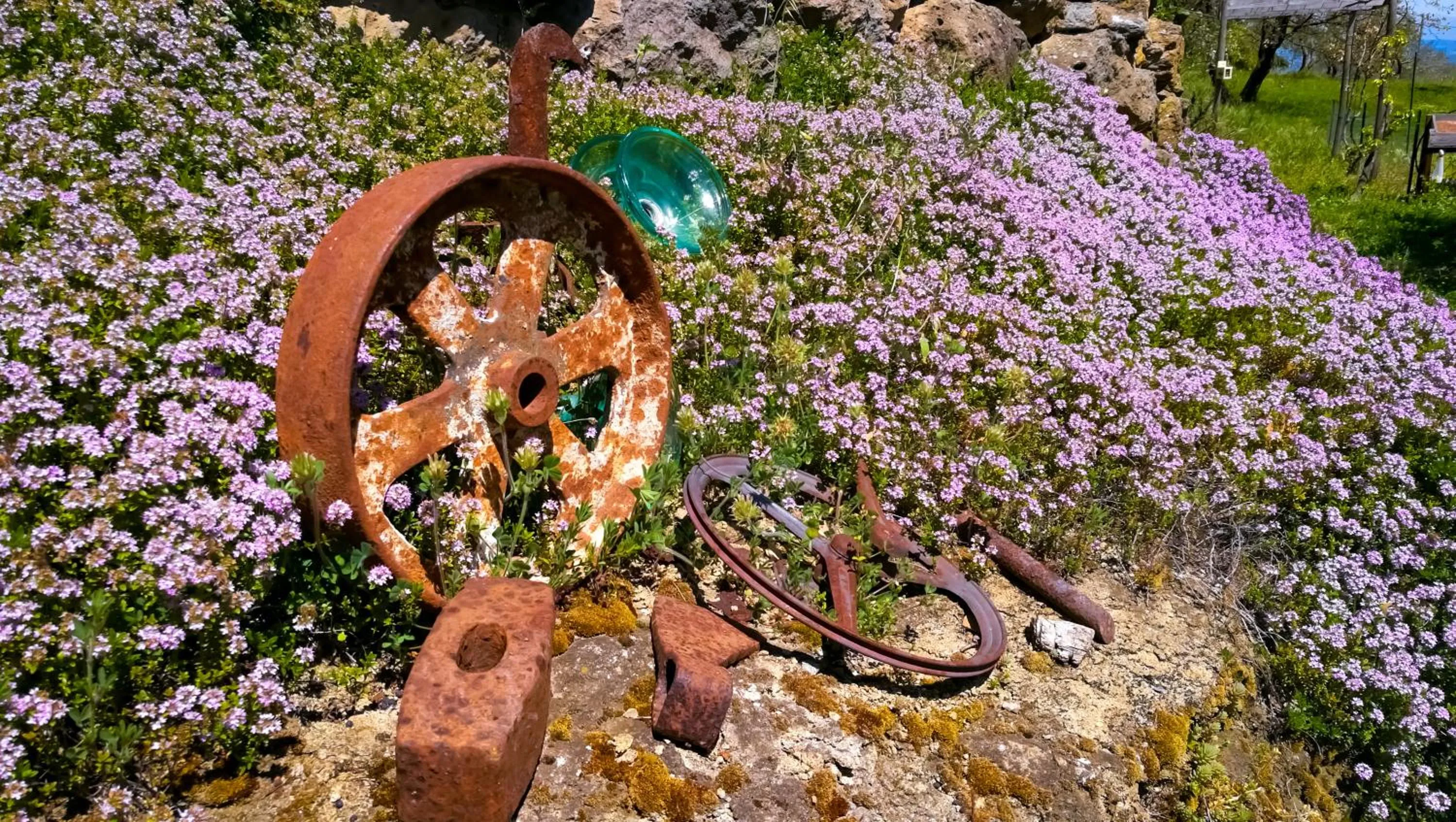 Garden in Podere Pontepietra