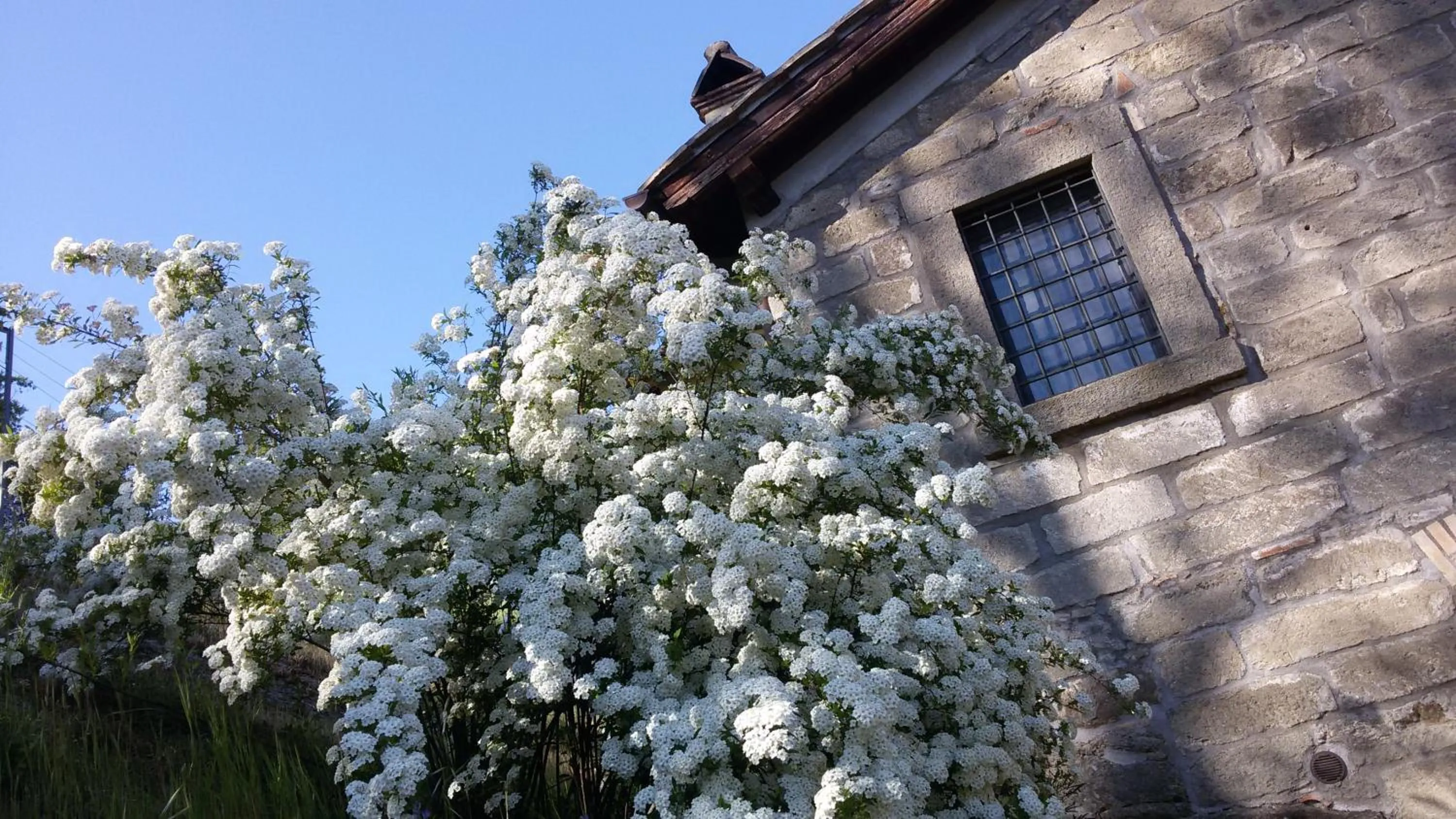 Property building in Podere Pontepietra