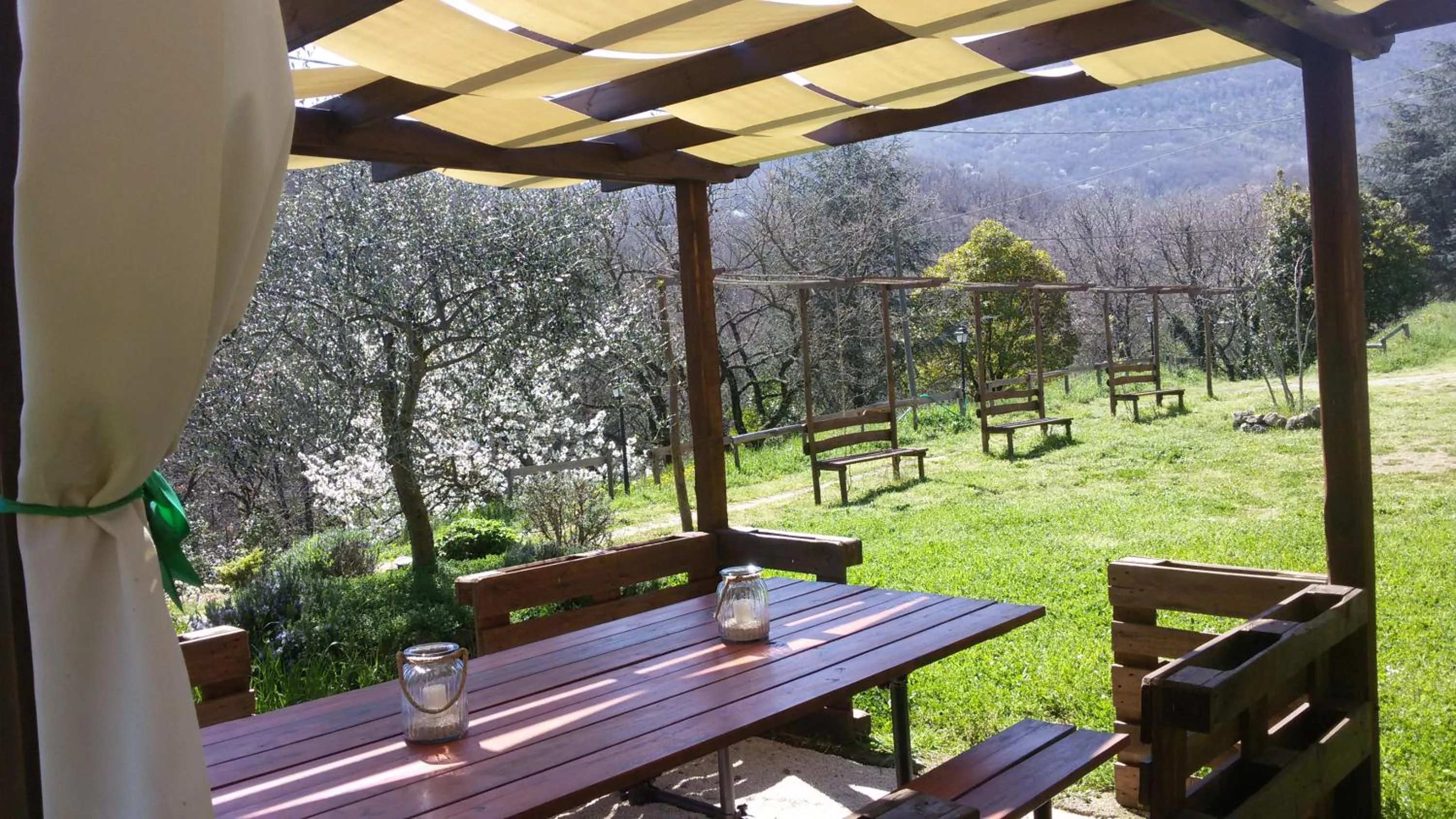 Patio in Podere Pontepietra