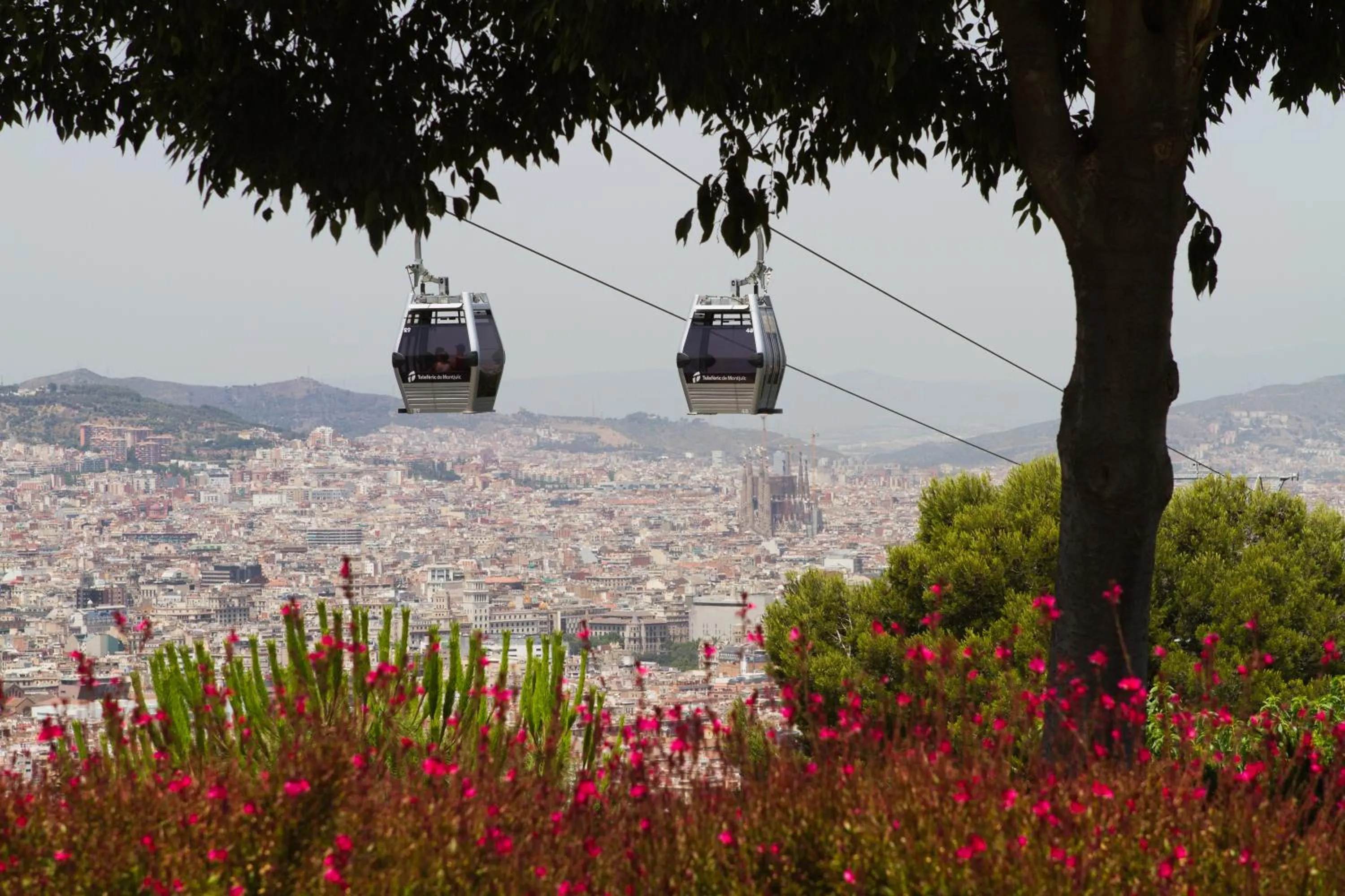 Neighbourhood in Habitat Apartments ADN