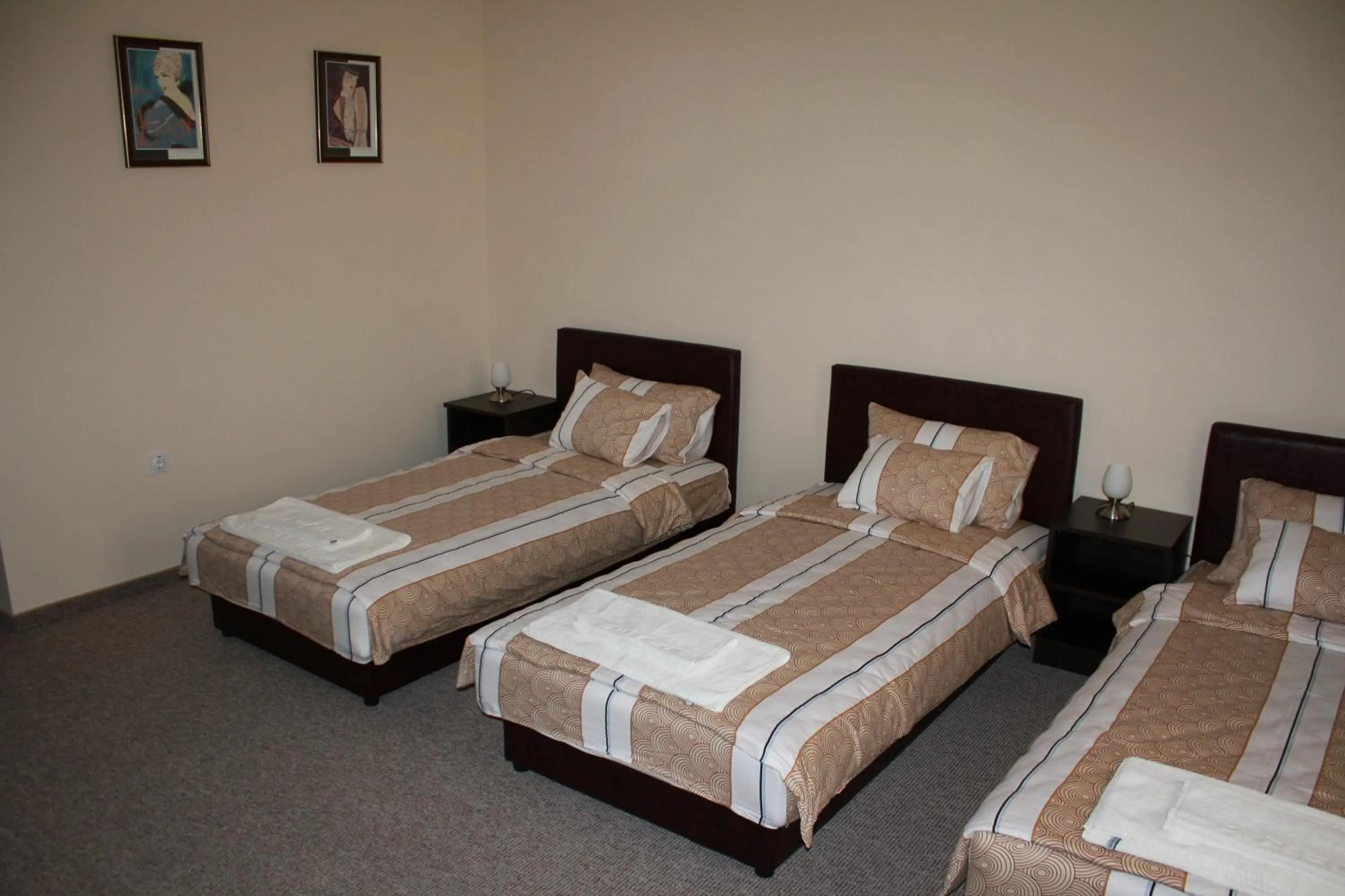 Bed in Hotel Feniks Požarevac