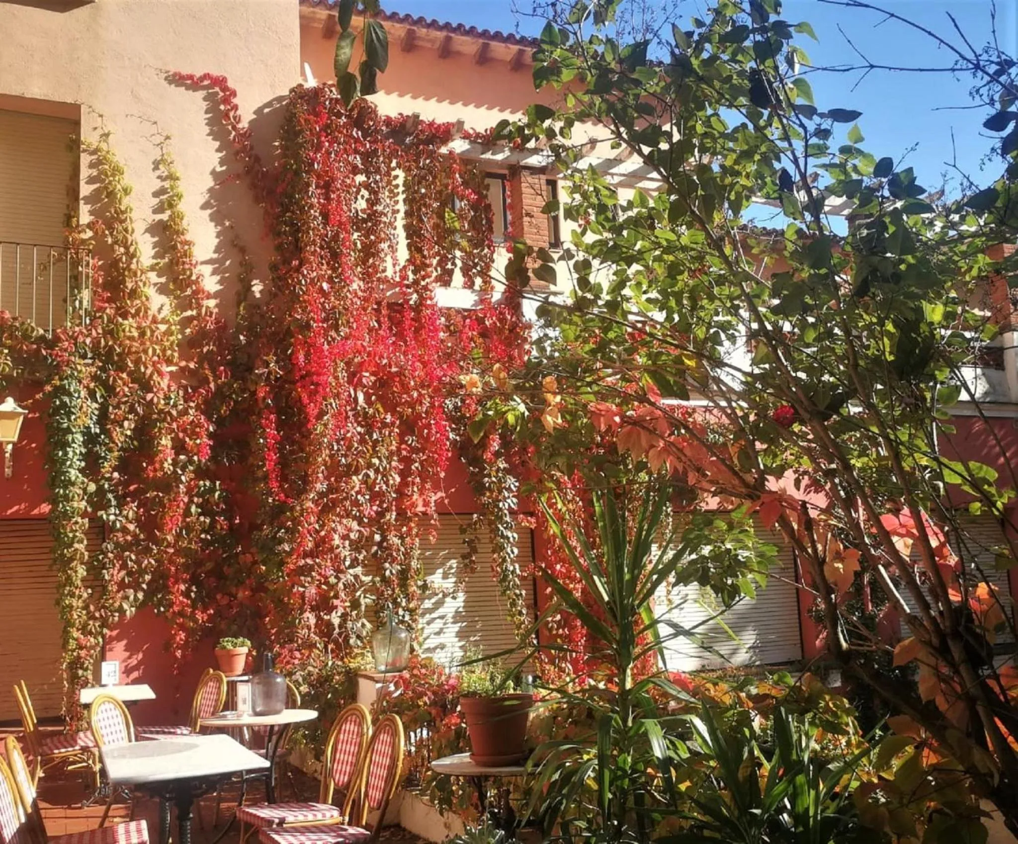 Garden in Hostal Montsoliu