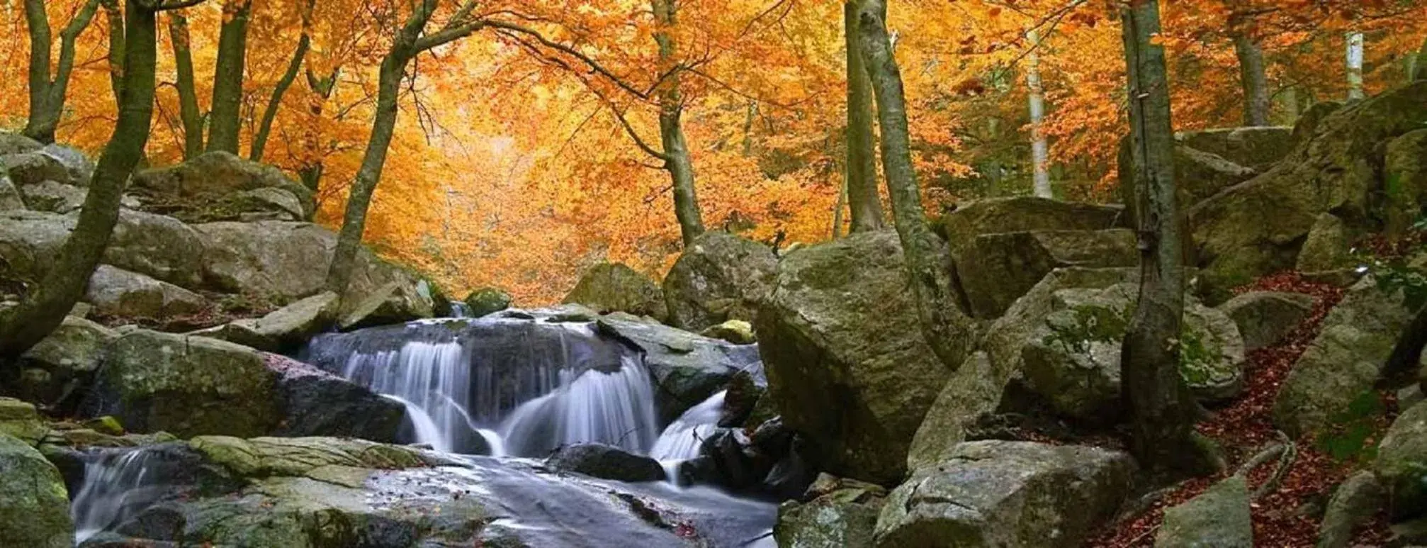 Property building in Hostal Montsoliu Property building in Hostal Montsoliu