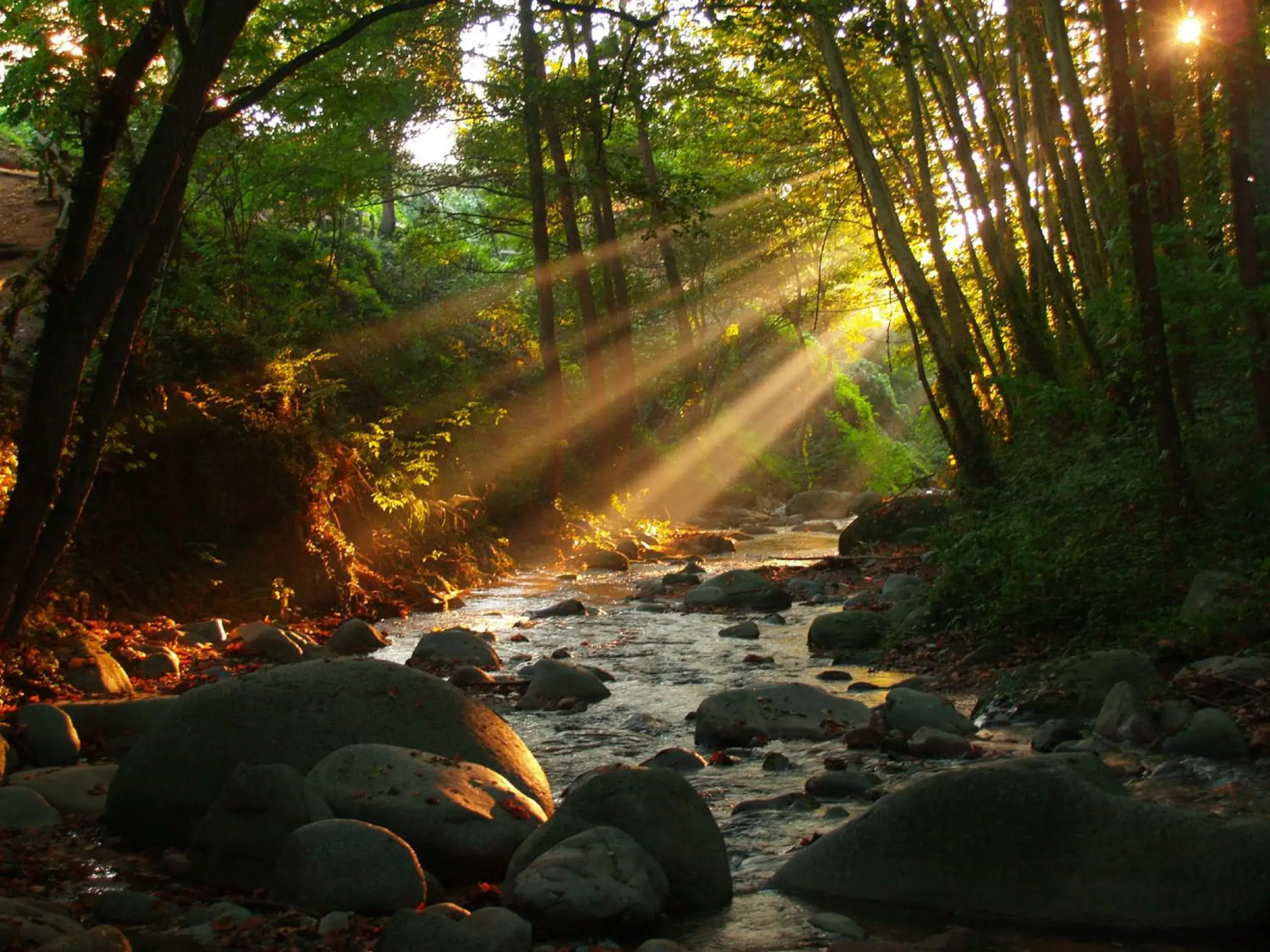 Natural landscape in Hostal Montsoliu Natural landscape in Hostal Montsoliu
