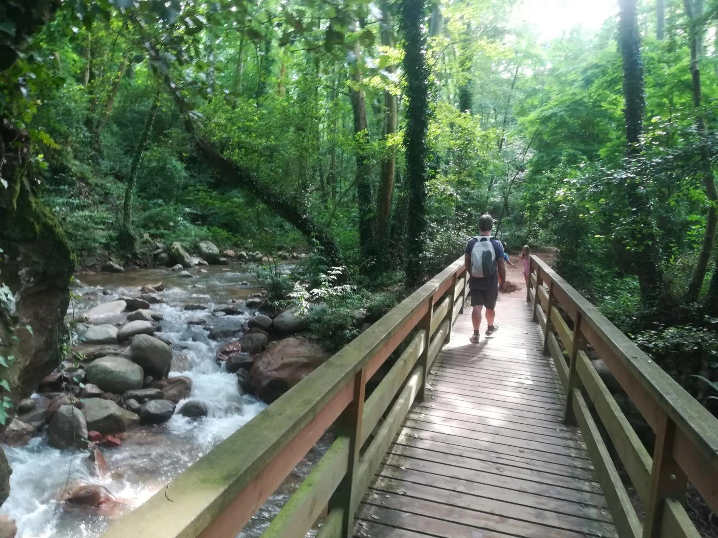 Natural landscape in Hostal Montsoliu