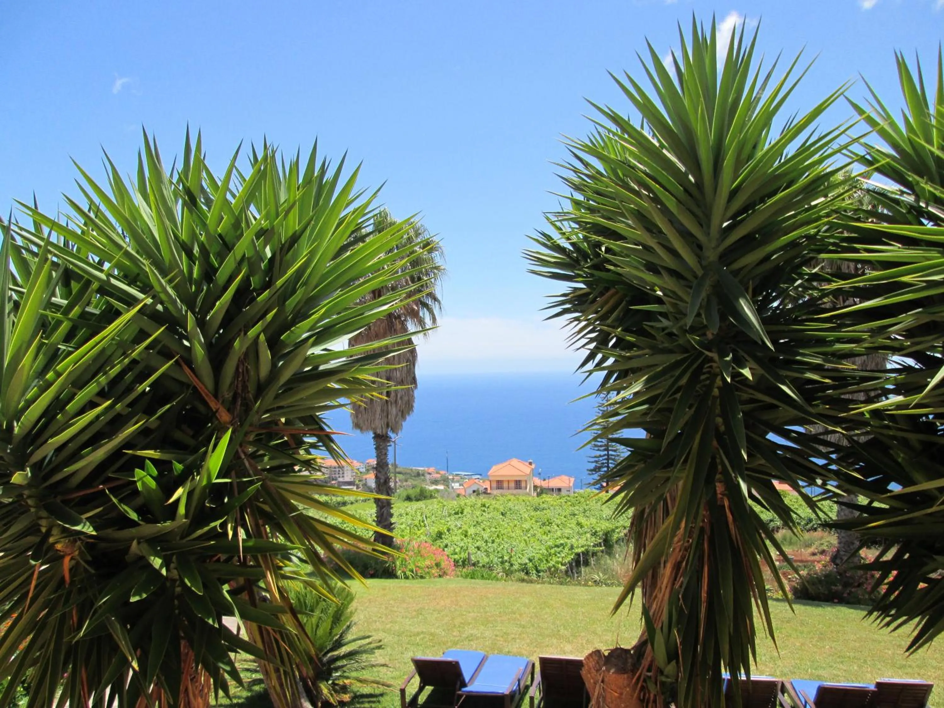 Garden in Quinta Alegre