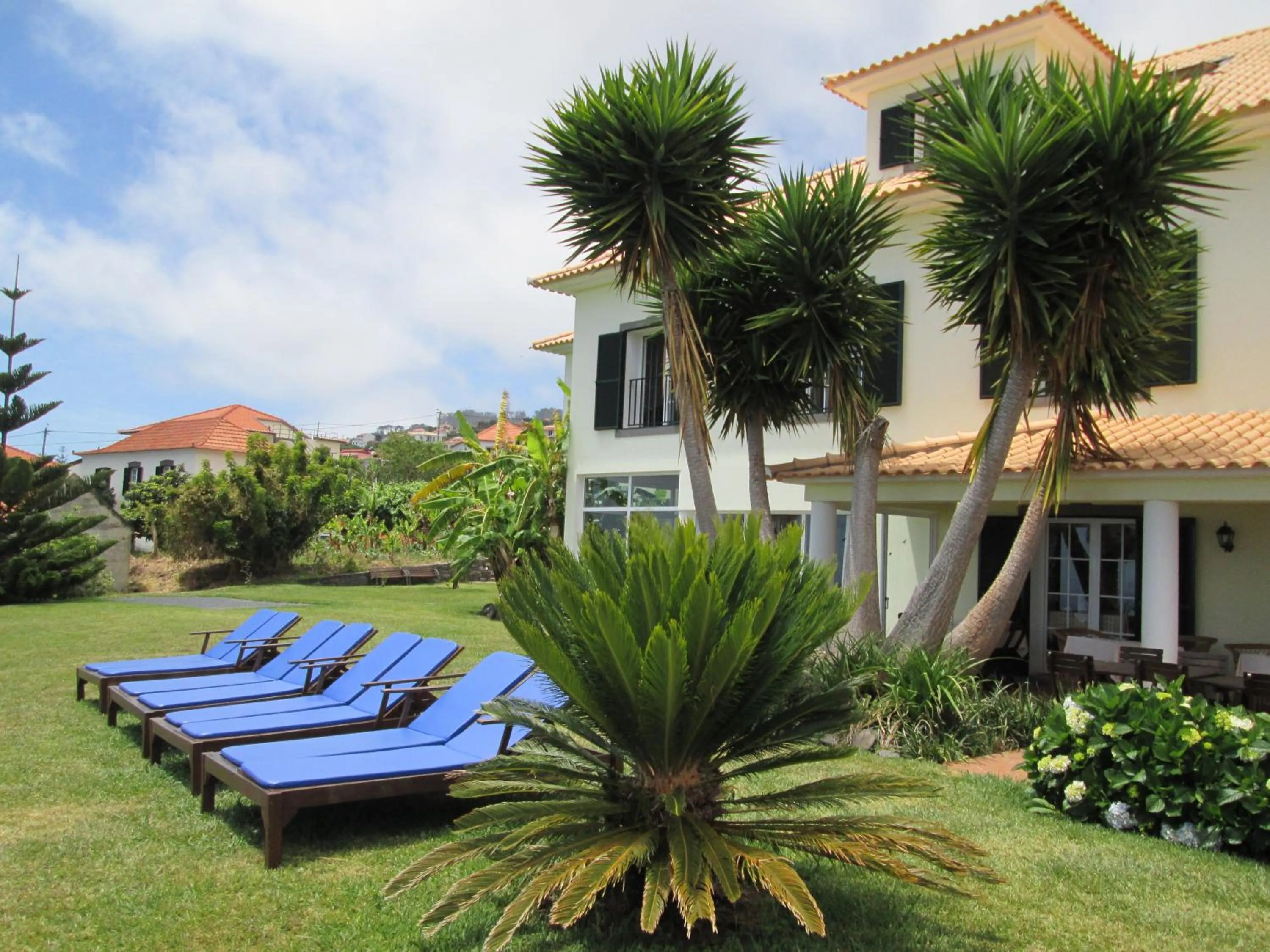 Garden in Quinta Alegre