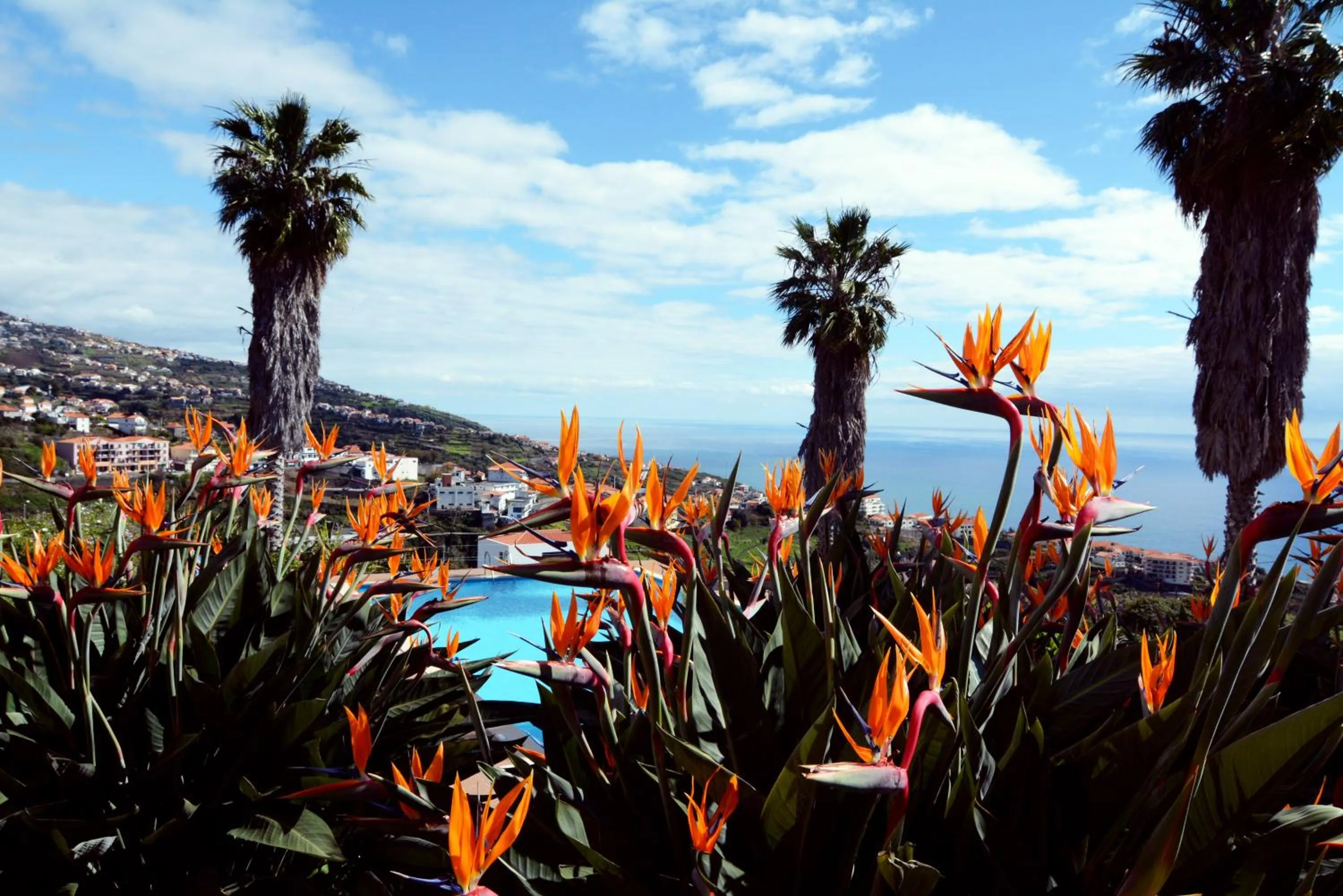Natural landscape in Quinta Alegre