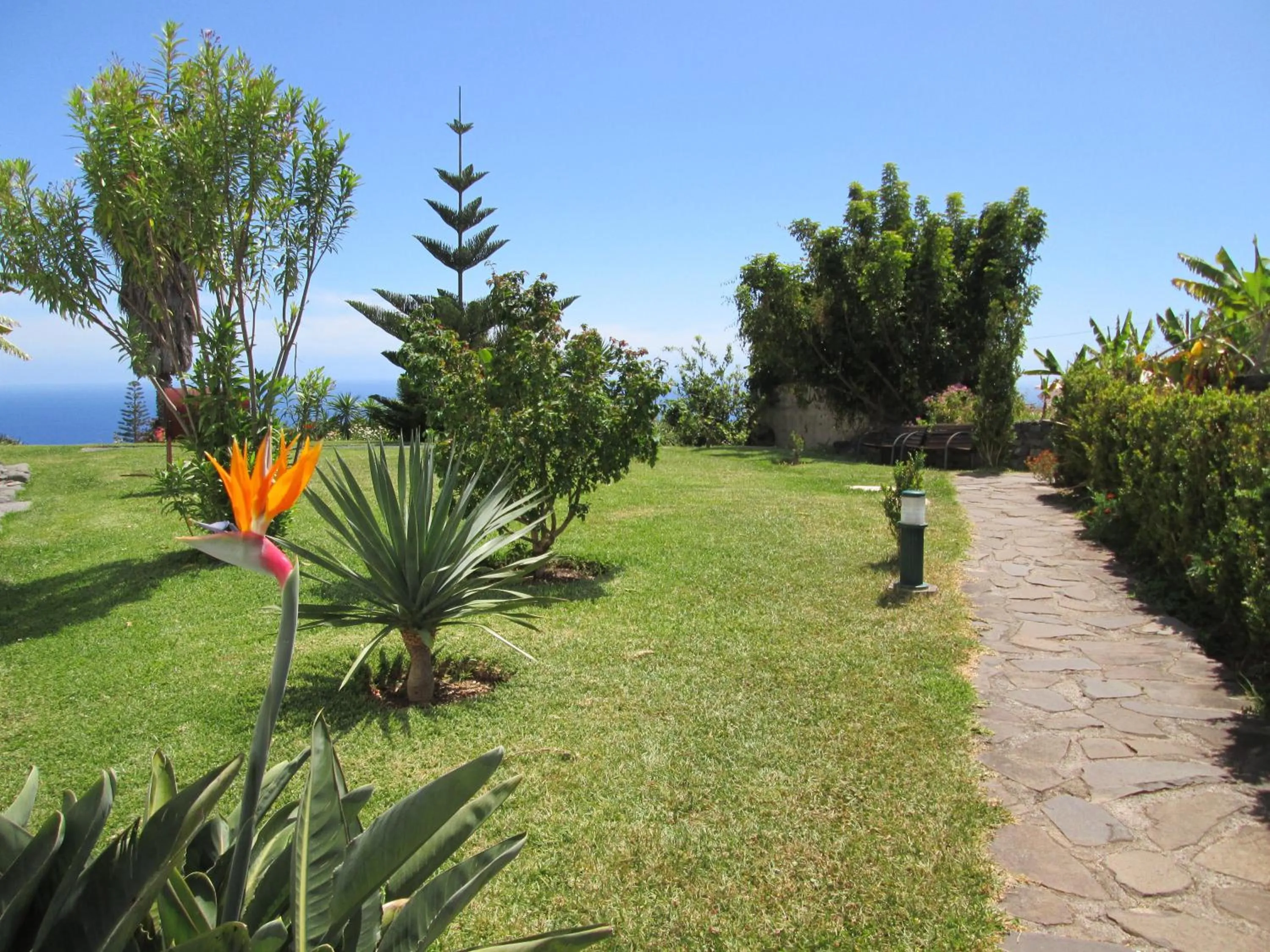 Garden in Quinta Alegre