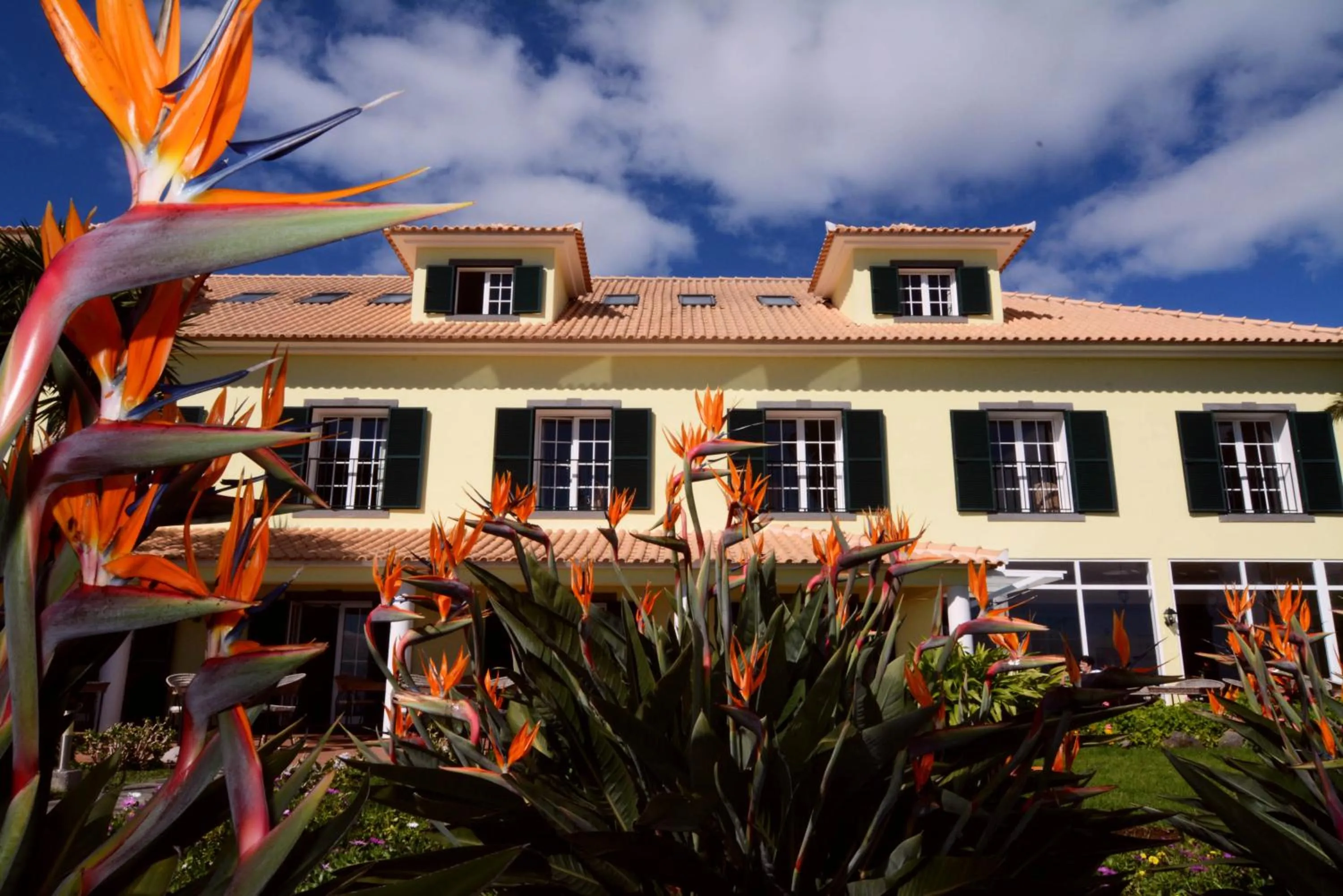Spring in Quinta Alegre