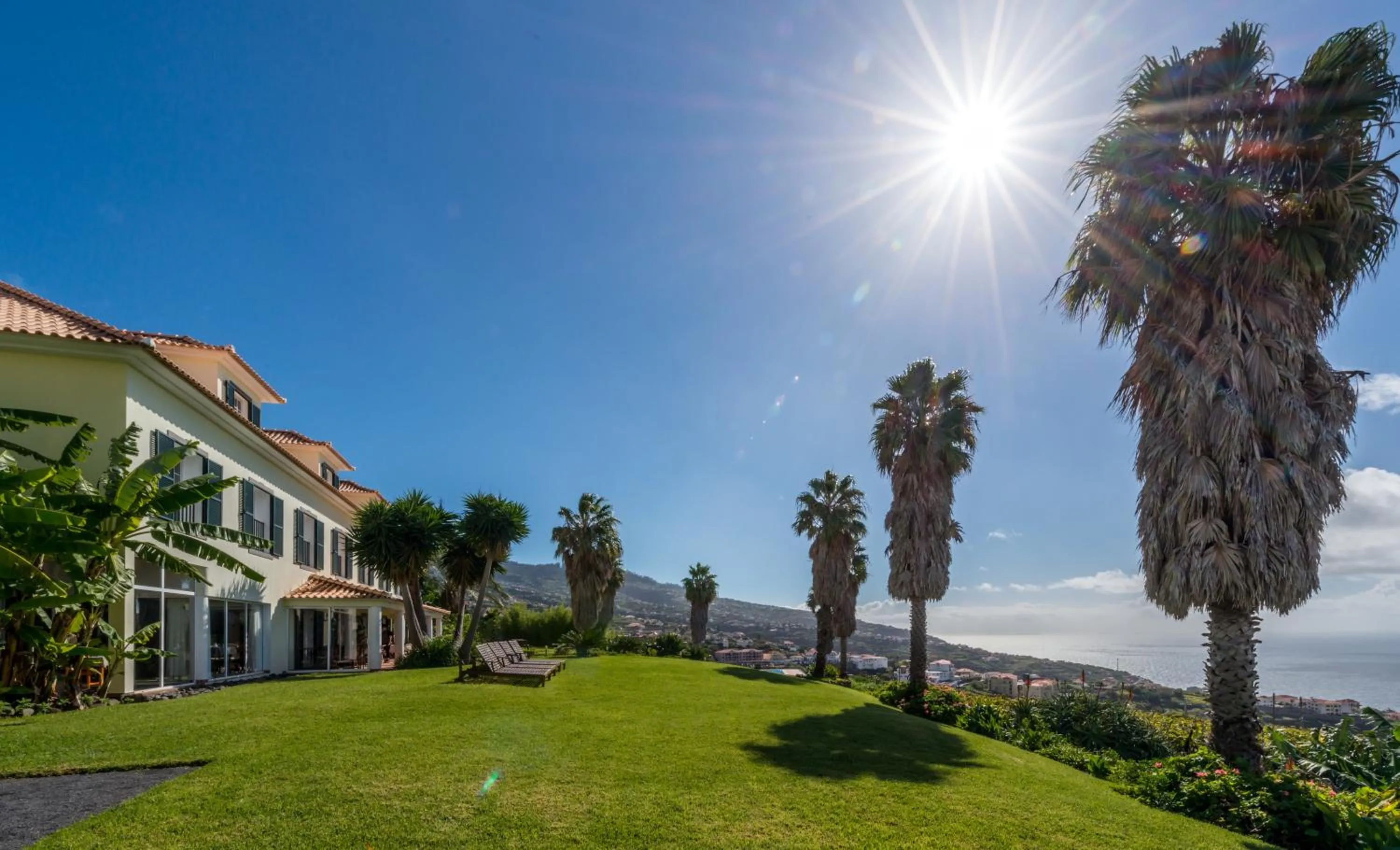 Garden view in Quinta Alegre