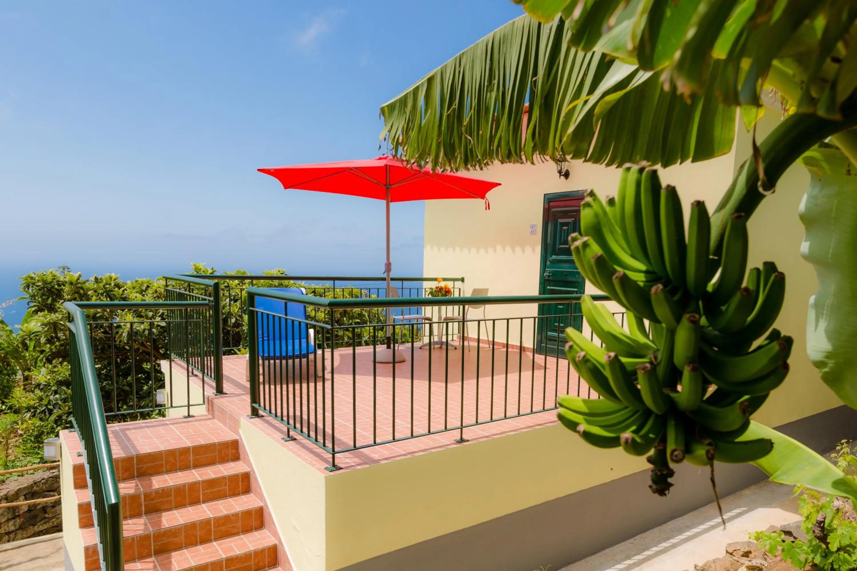Neighbourhood in Quinta Alegre